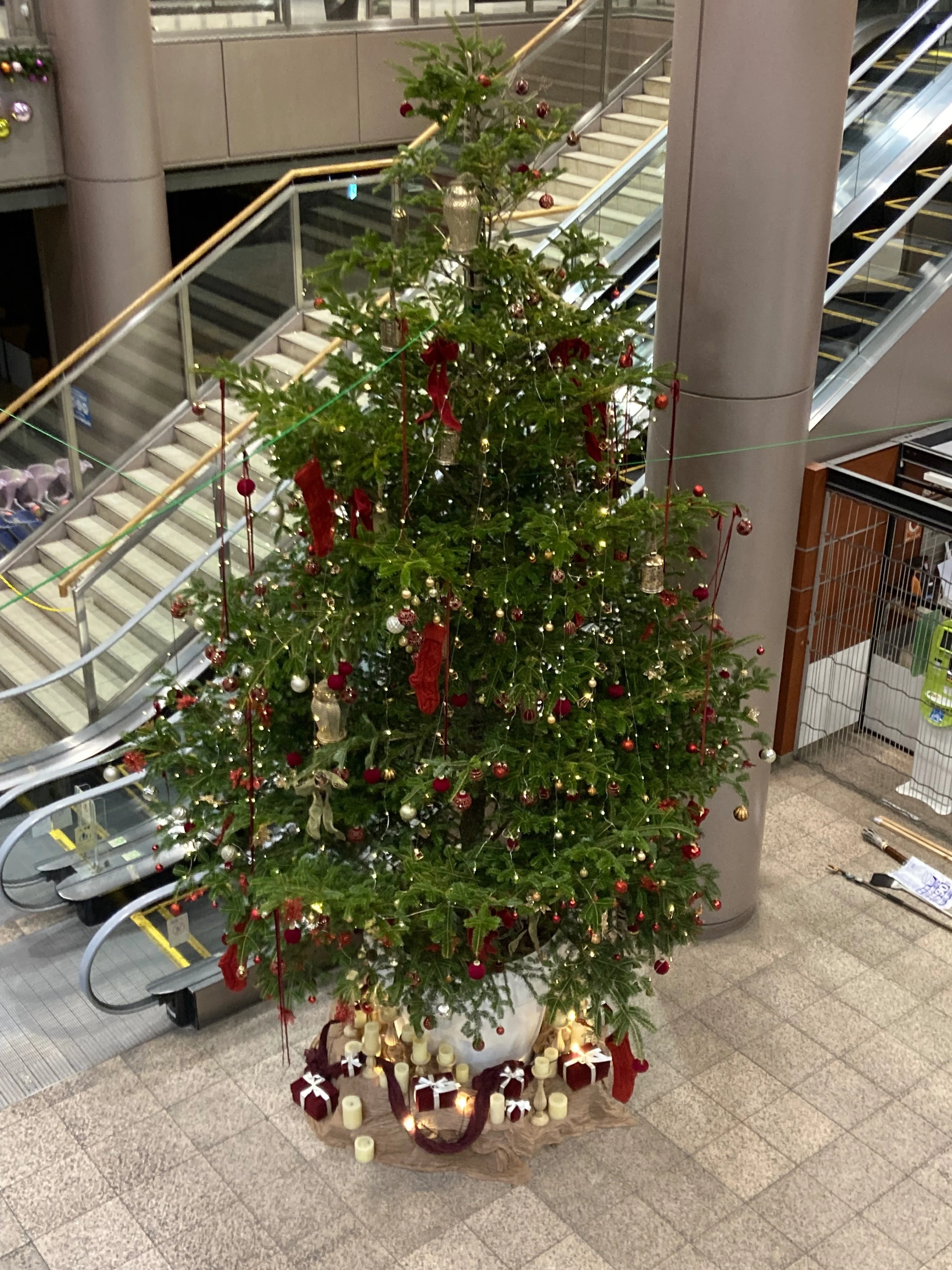 FKD宇都宮店に巨大クリスマスツリーが現れた！｜福田屋百貨店