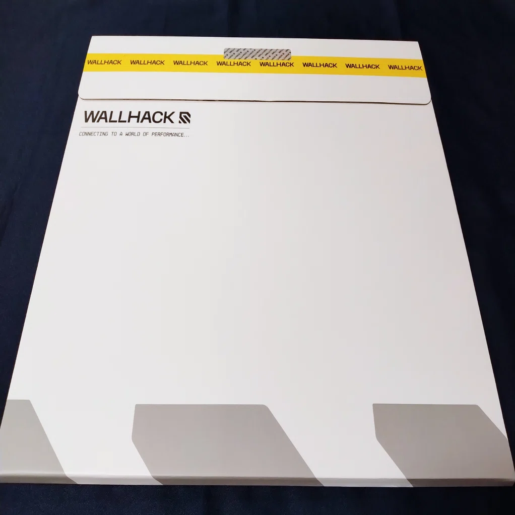 WALLHACK ミステリーボックス SY-001 万人に受けるコントロール 