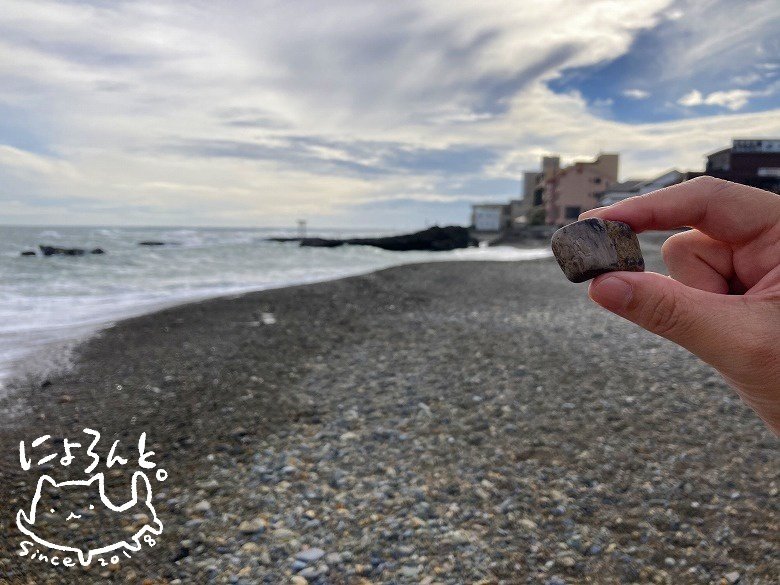 石英とチャートと…これは珪化木！？大洗海岸・磯前神社前で