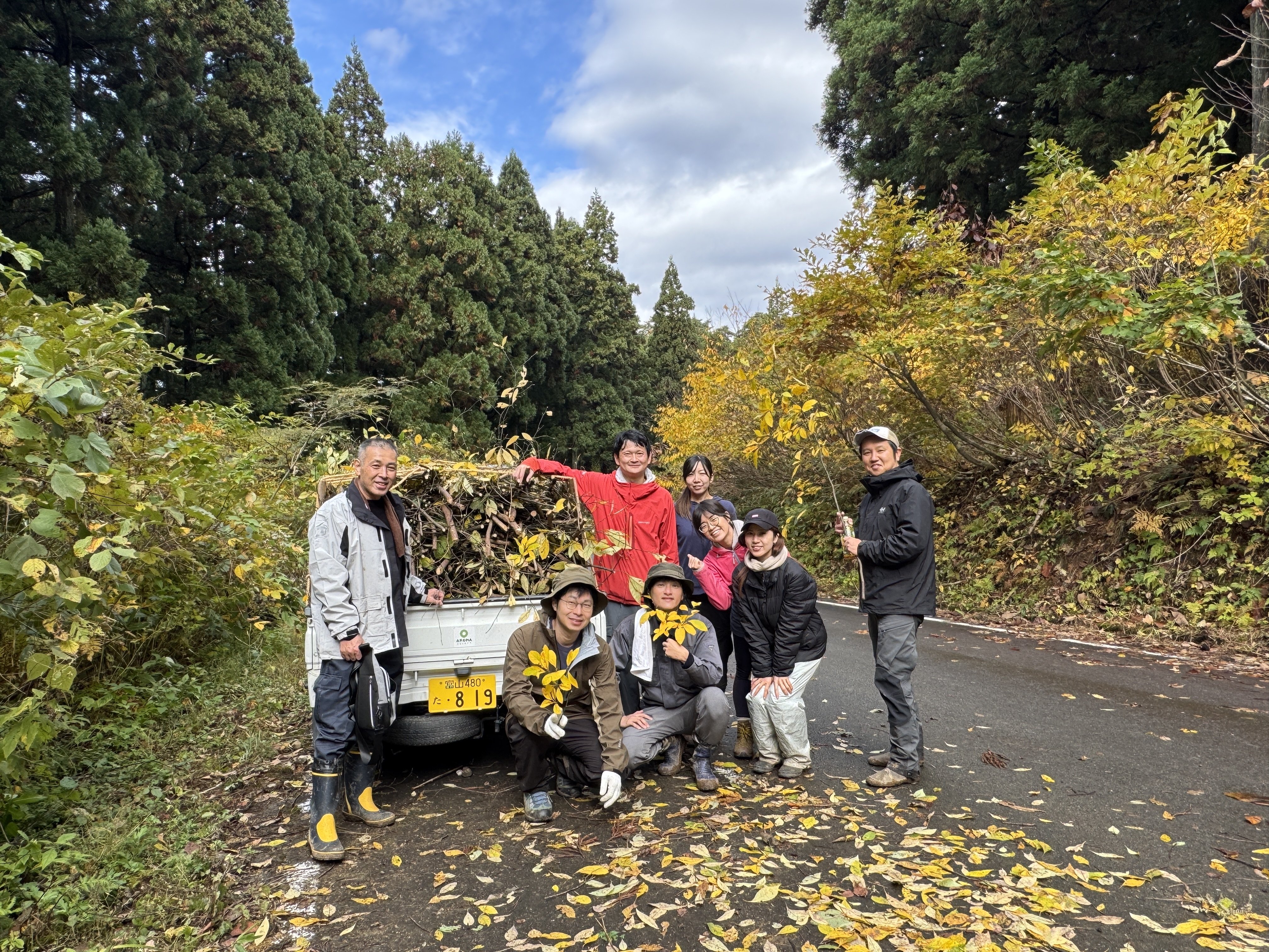 秋のクロモジ採取に行ってきました｜AROMA SELECT