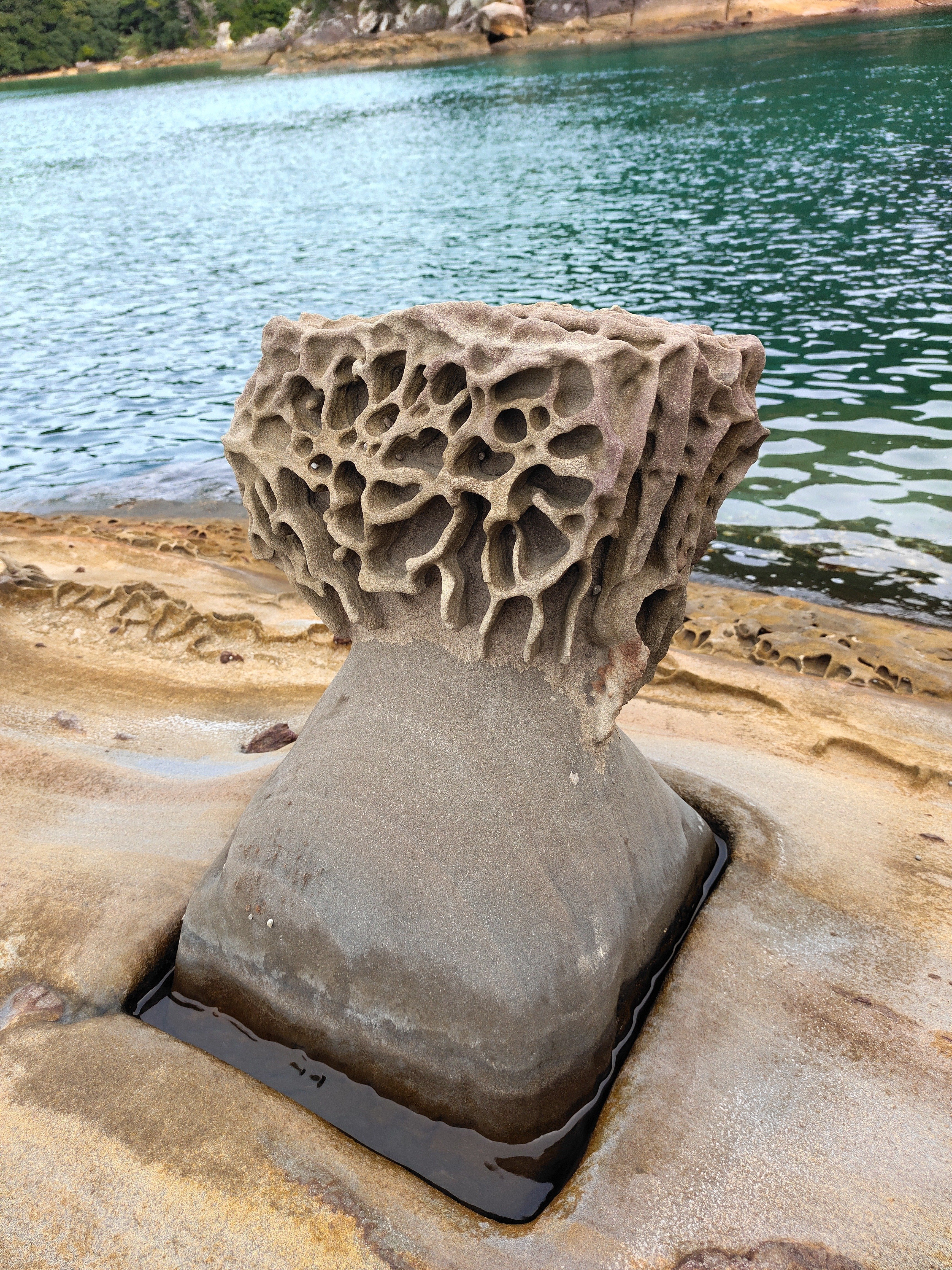 竜串海岸｜かえる