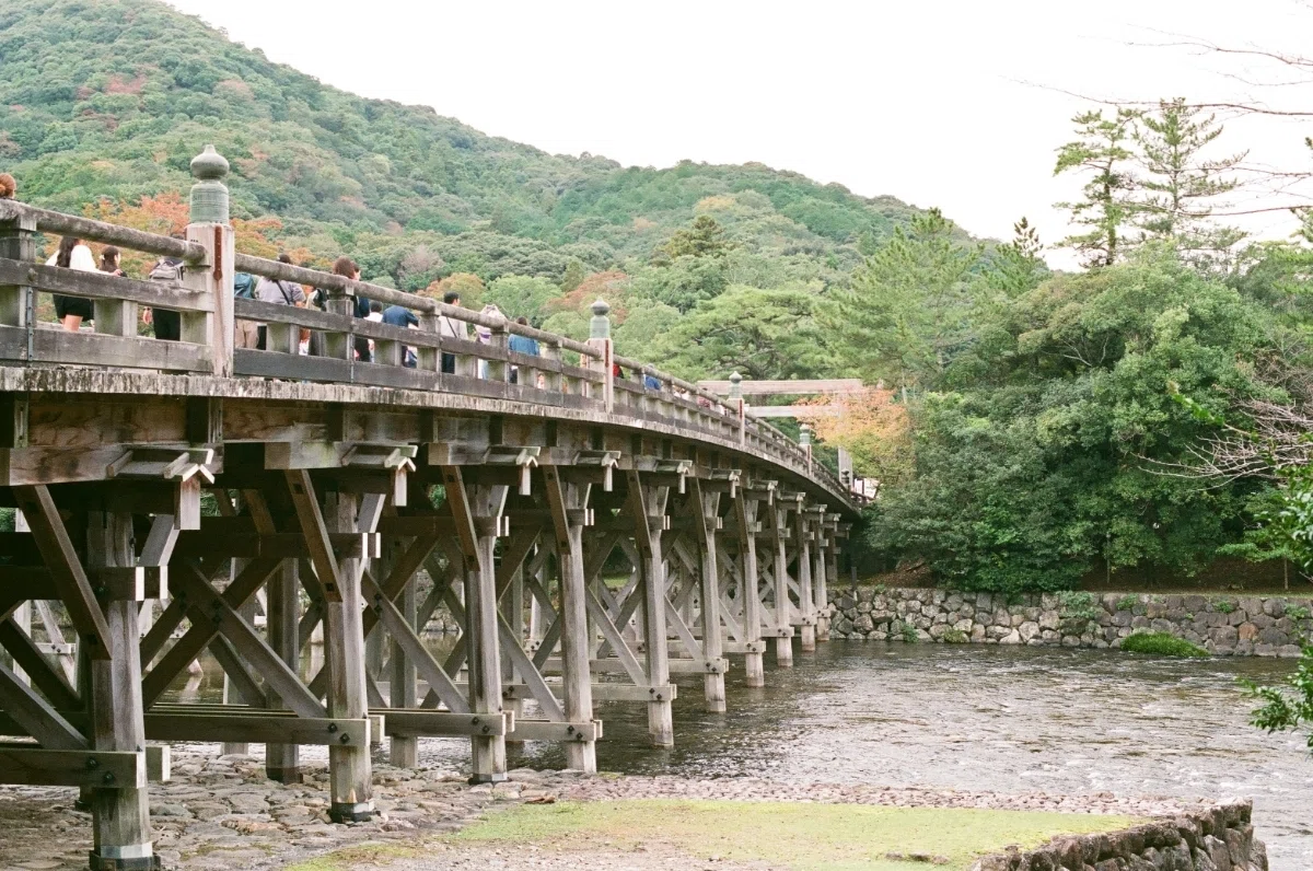 フィルムカメラと伊勢鉄道旅∣NikonFM2と観光特急しまかぜ｜あなでじ