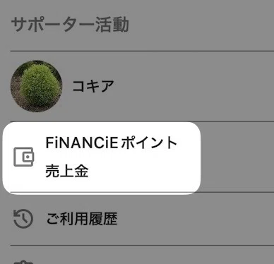 「&nbsp;FiNANCiEポイント　売上金 」