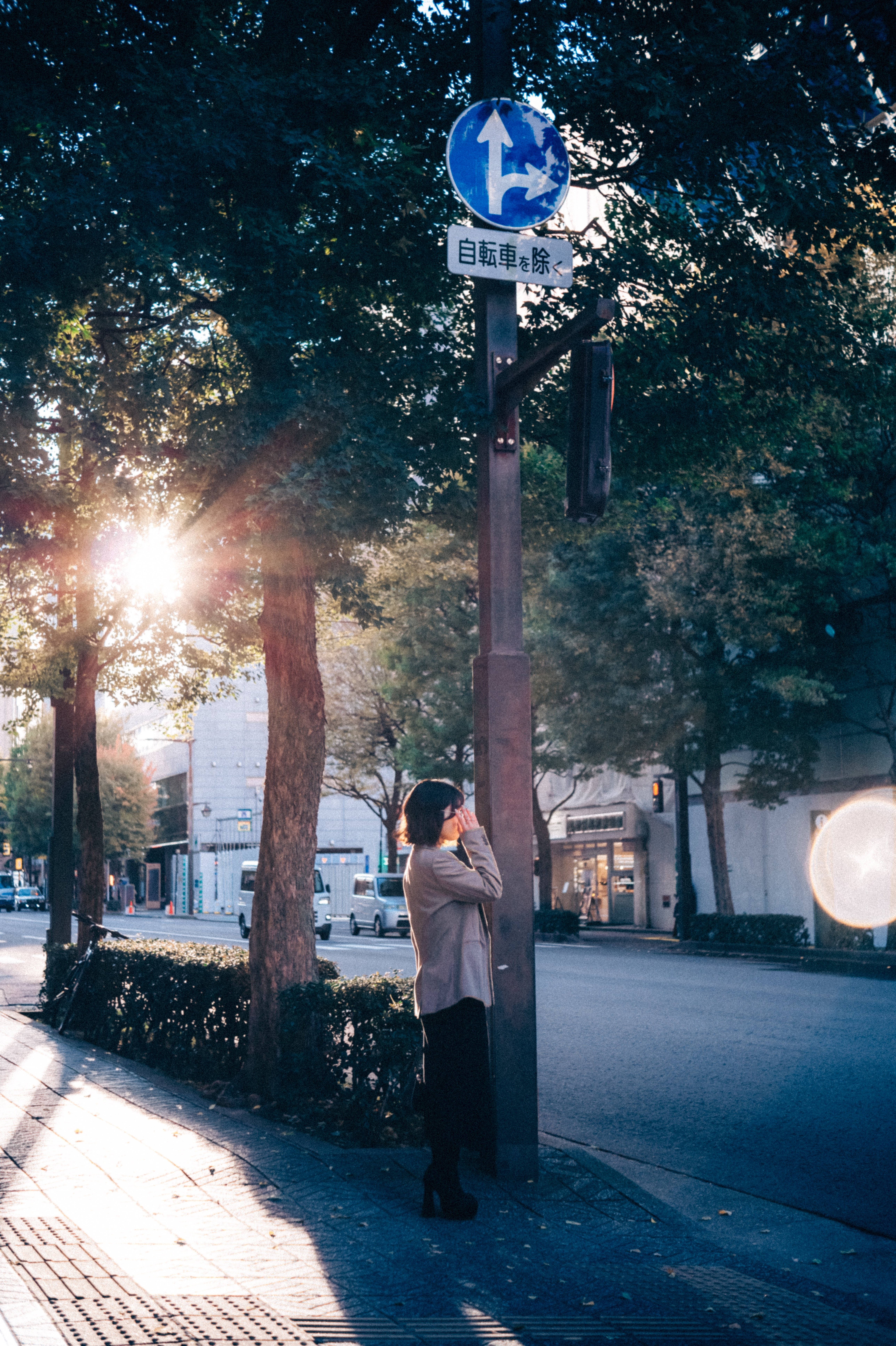 レビュー MS-Optics Lumitar50mm/f3.5｜tonsoku