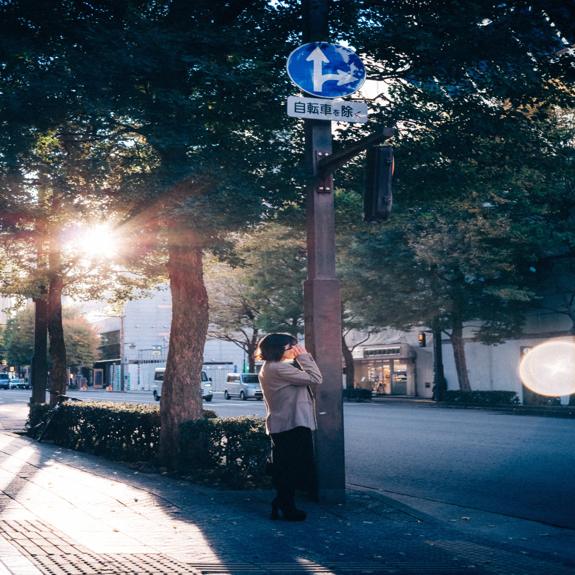 レビュー MS-Optics Lumitar50mm/f3.5｜tonsoku