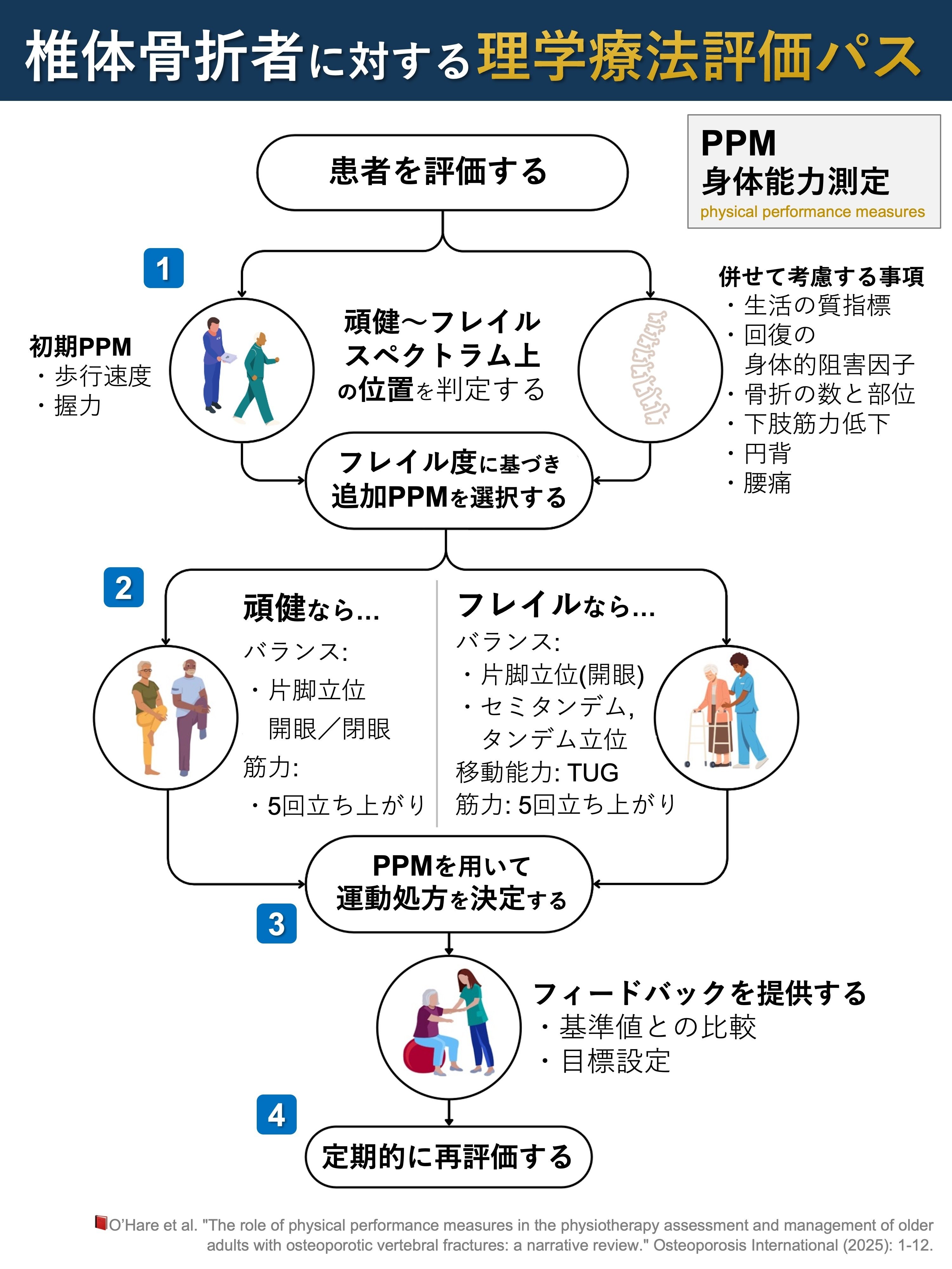 椎体骨折者に対する理学療法評価パス｜Super Human | 理学療法士／保健