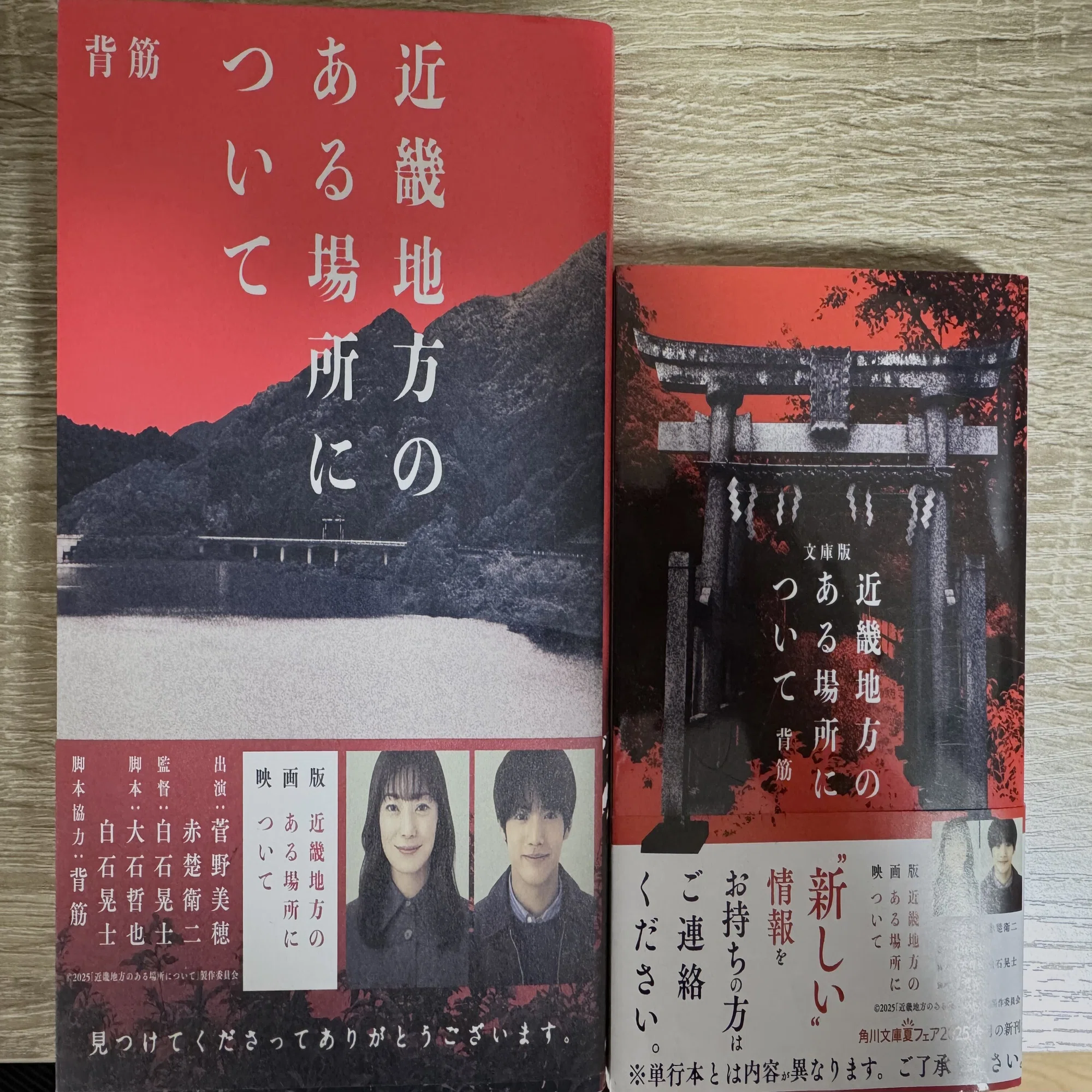 この秋、約1万円分の小説を読みました。｜Ki