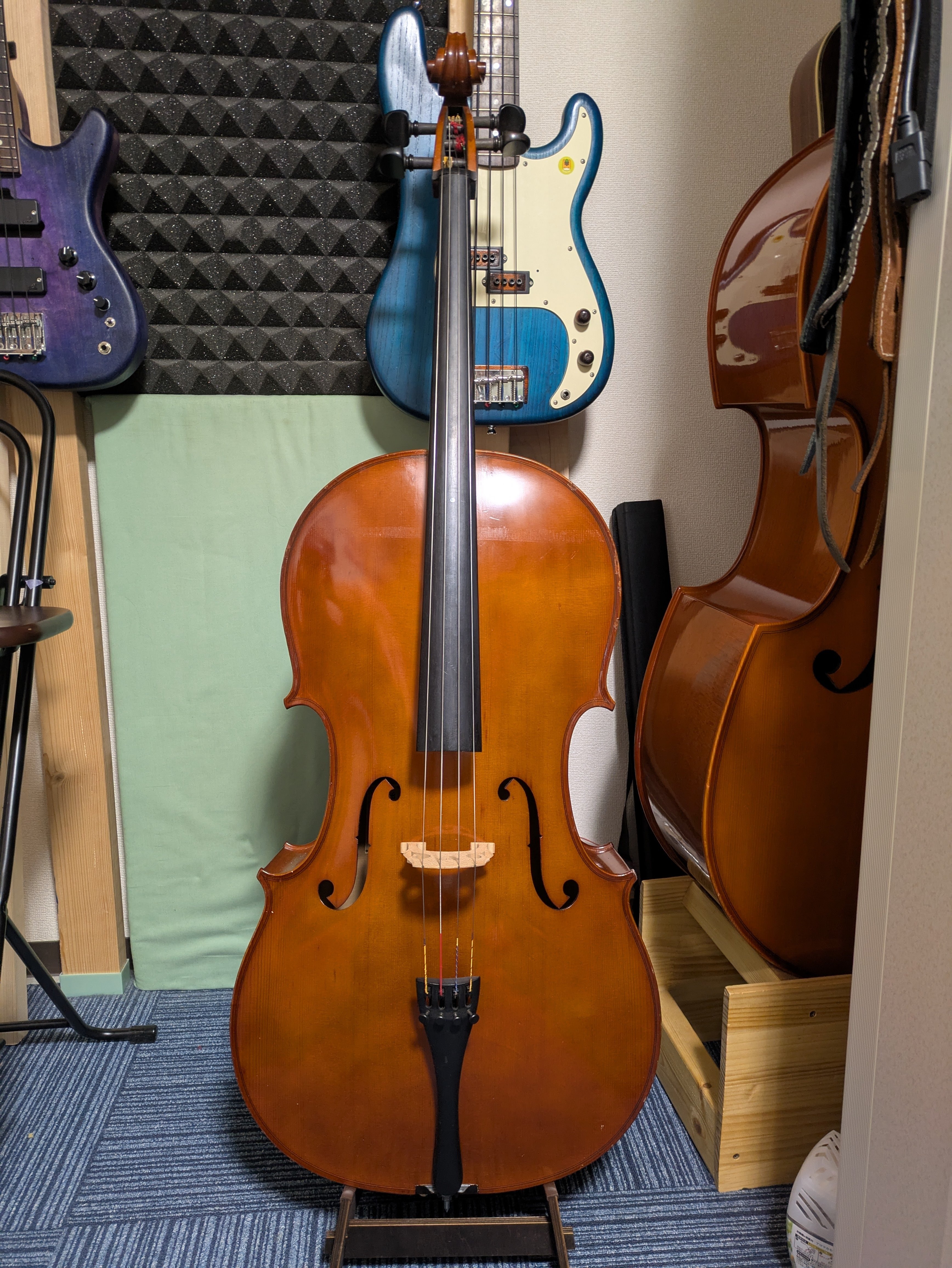 ベーシスト、チェロを手に入れる｜Shin Sheena 【希少】チェロ