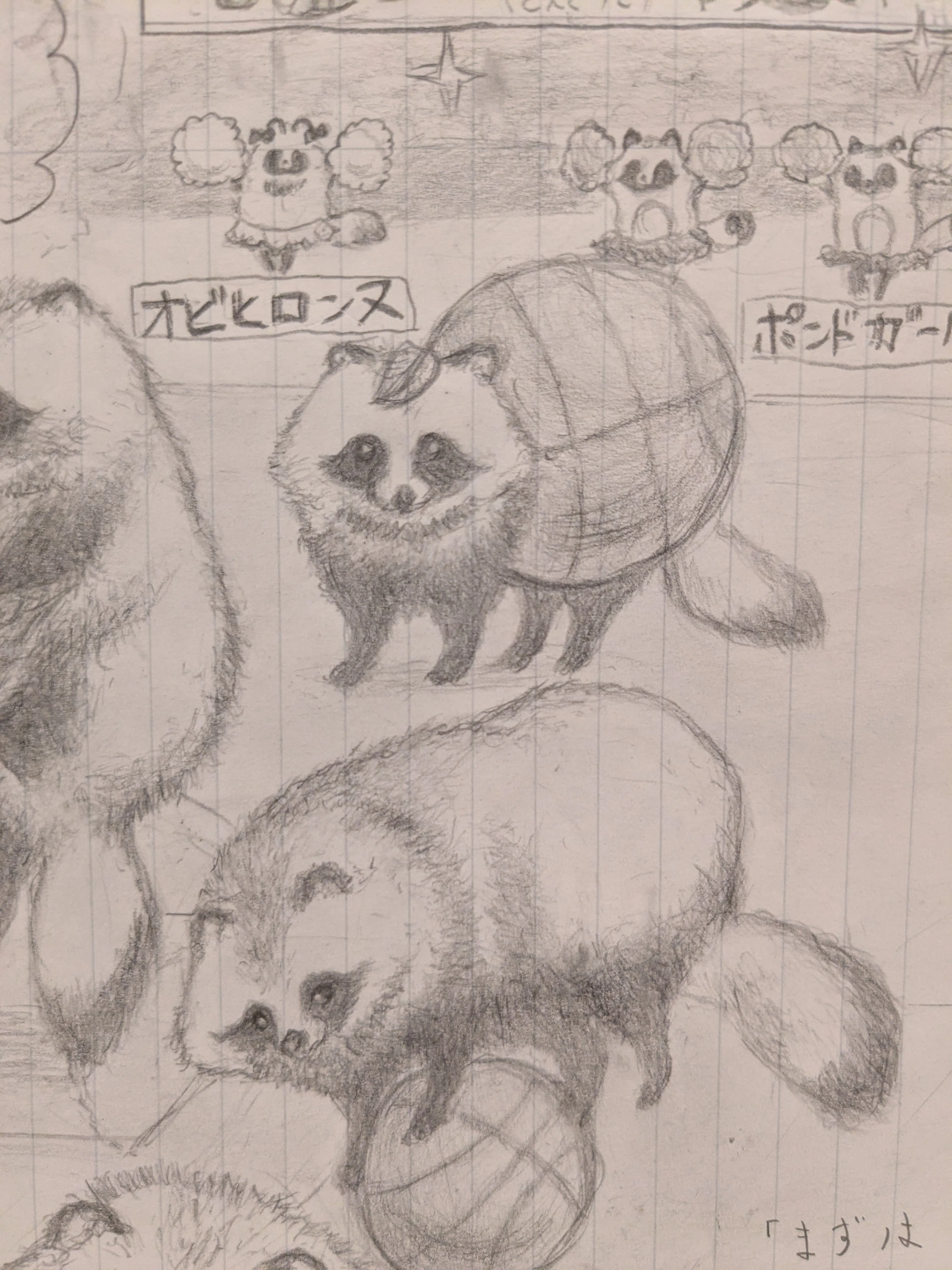 タヌキ絵「バスケットボール」 | 自己紹介：noteはじめました