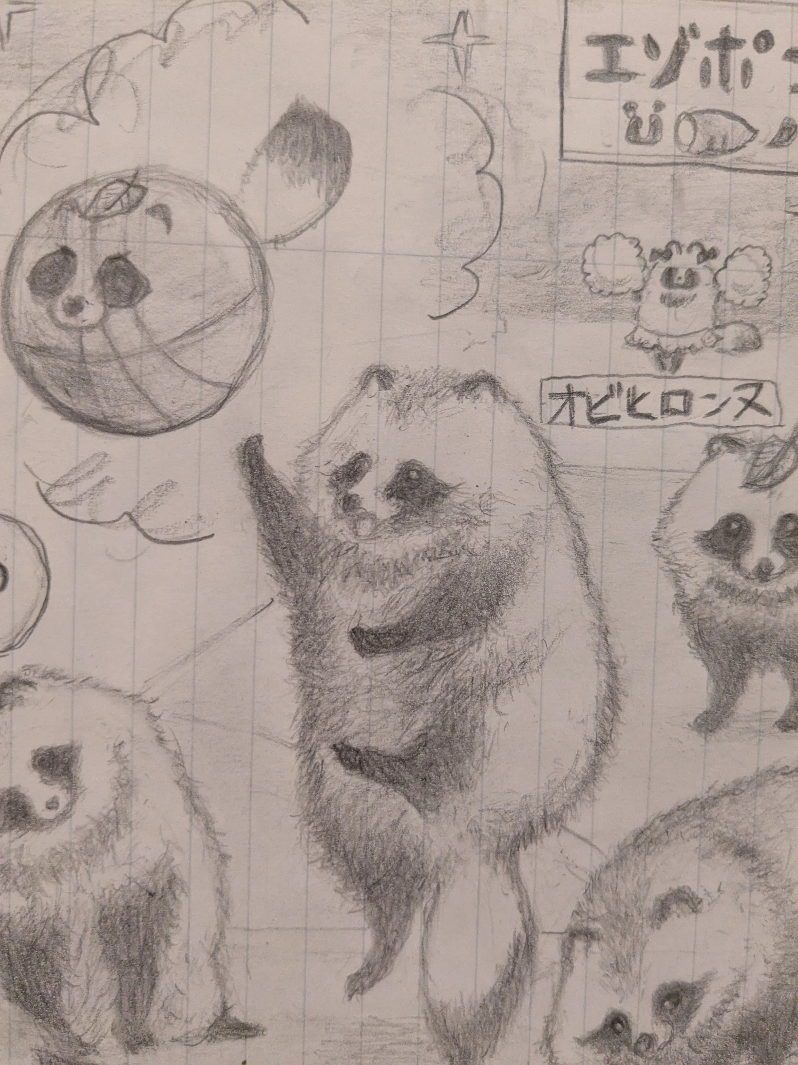 タヌキ絵「バスケットボール」 | 自己紹介：noteはじめました