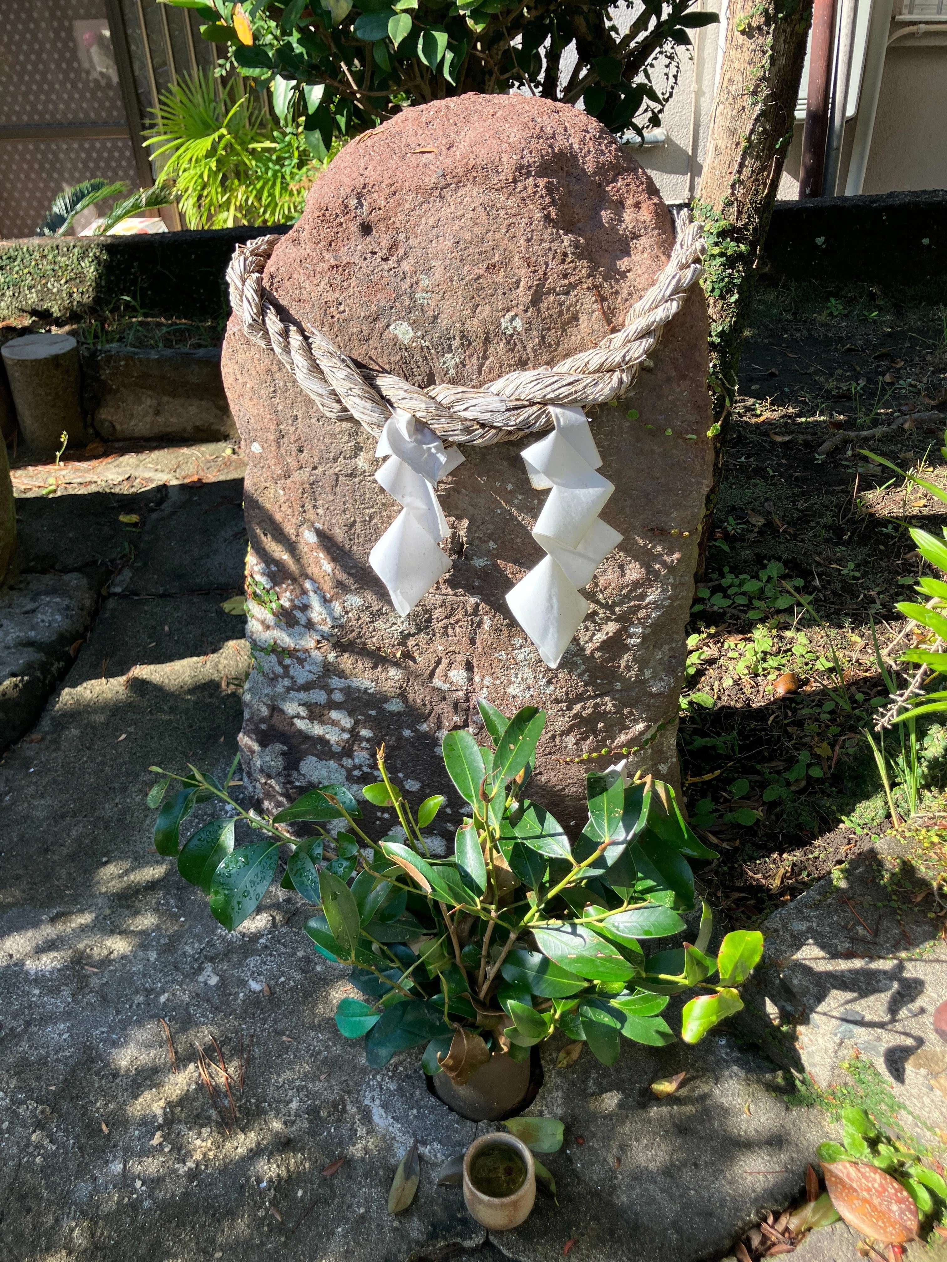 薩摩平氏を訪ねて45】『伝・豊臣秀頼の墓』の謎に迫る（鹿児島市）｜マロン