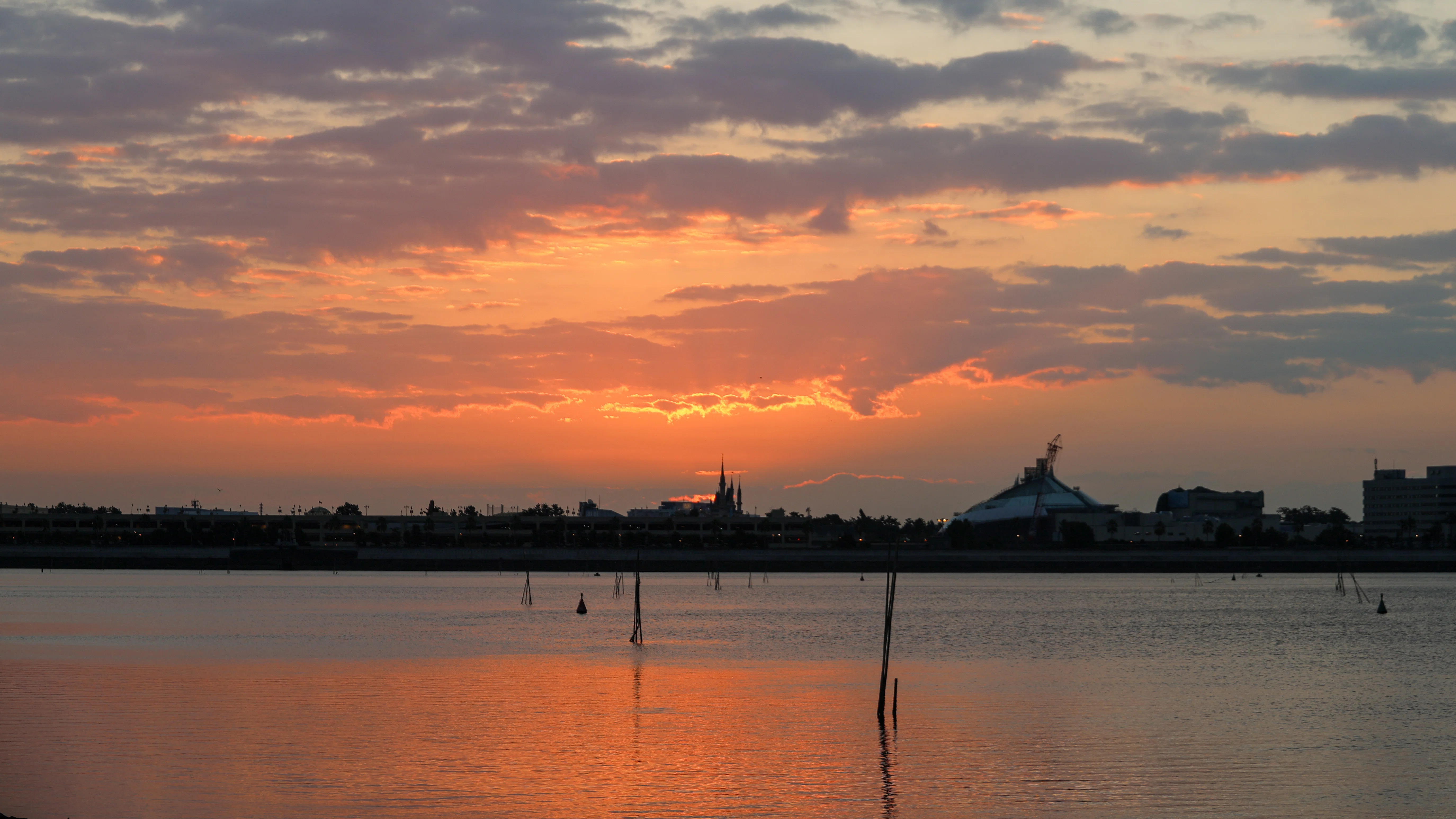 葛西臨海公園の朝景_20251115｜Toru Shiratori