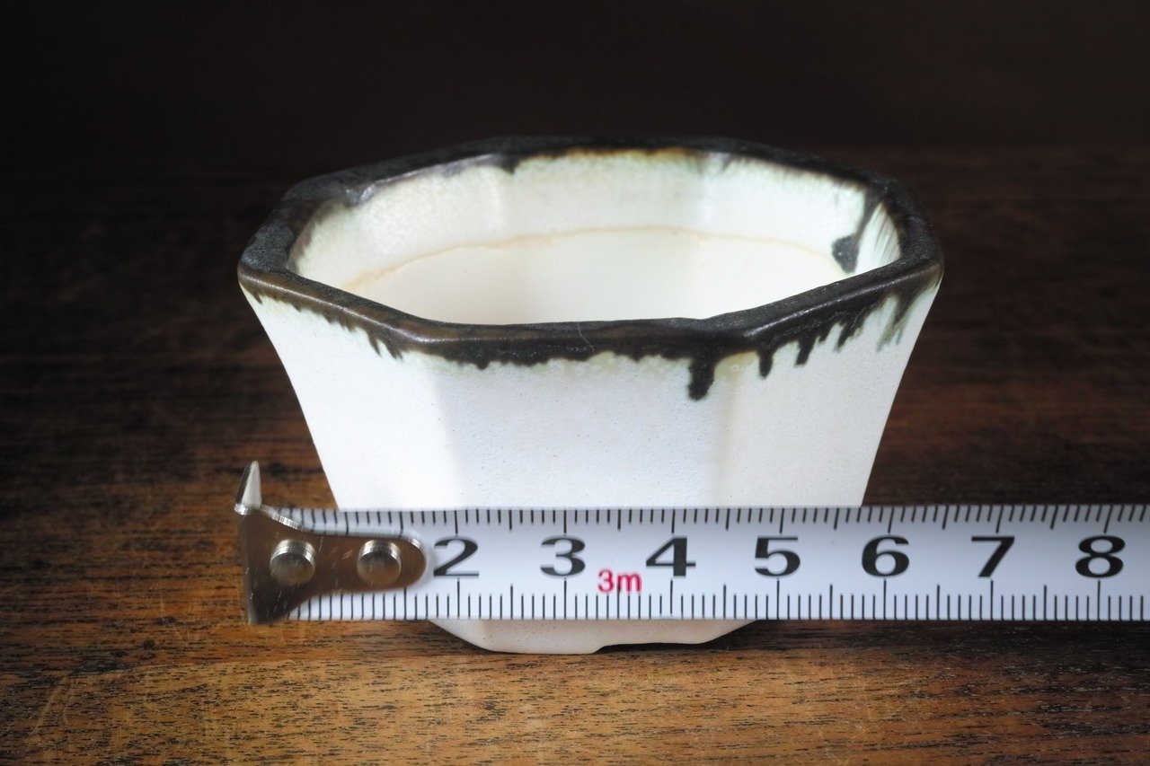 縁起のよい八角形の鉢です。｜cokesh