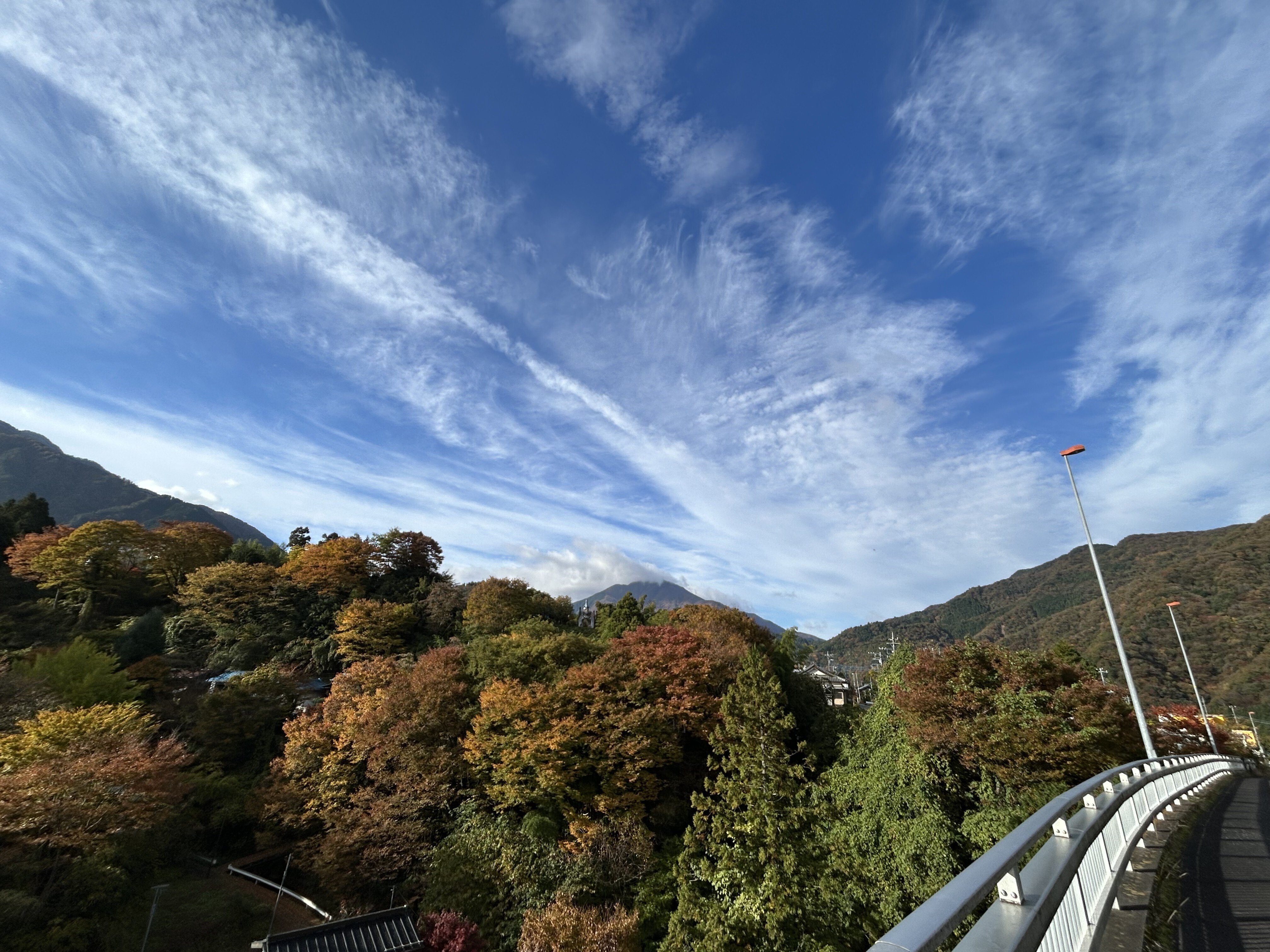 富士の山そろそろ登るかたつむり かたつむり そろそろ登れ 富士の山 (アニマルザワールド25) - 名古屋の