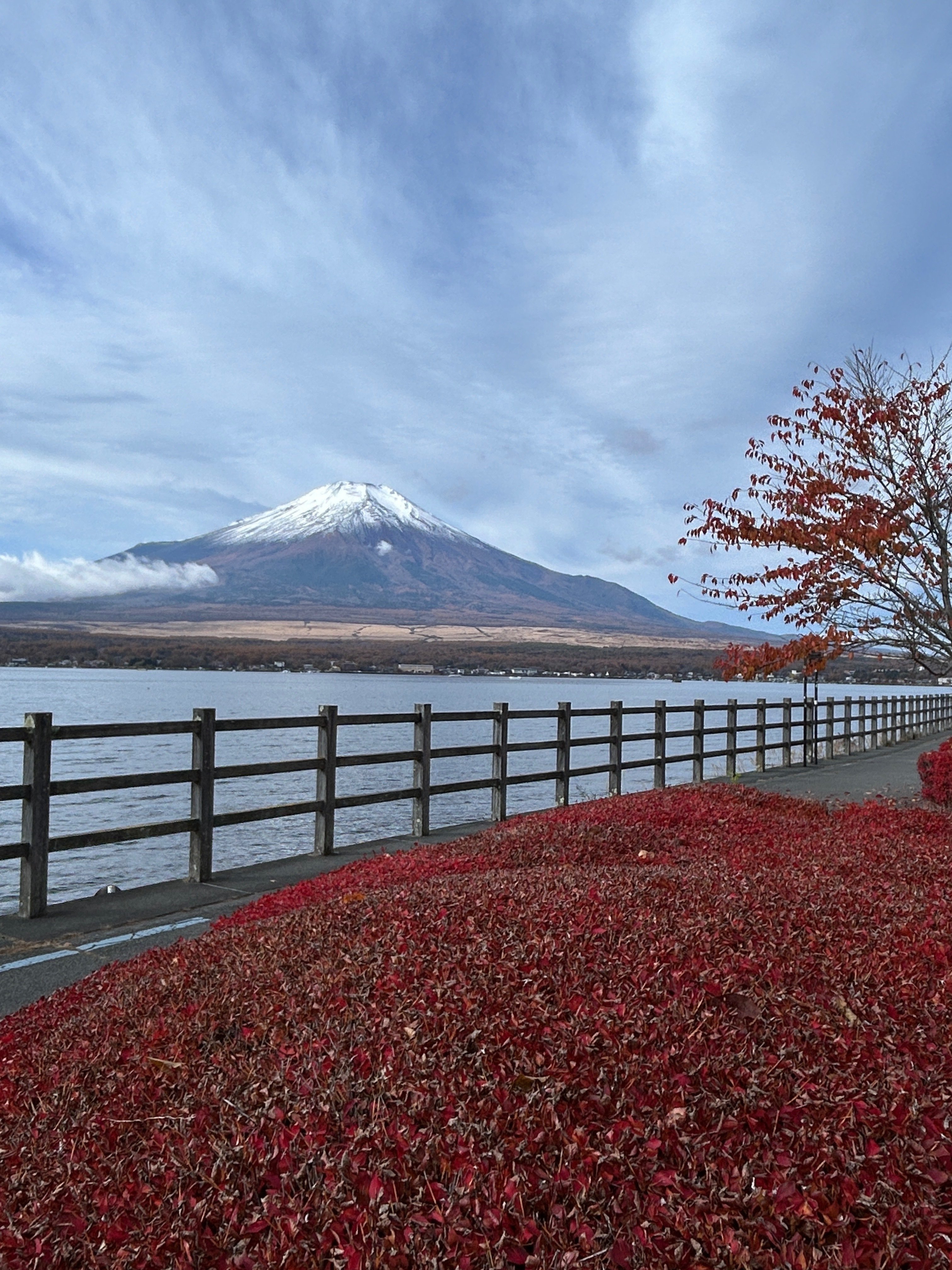 2025/11/11】寒さにめげず富士山5合目を目指す（日帰りソロツーリング