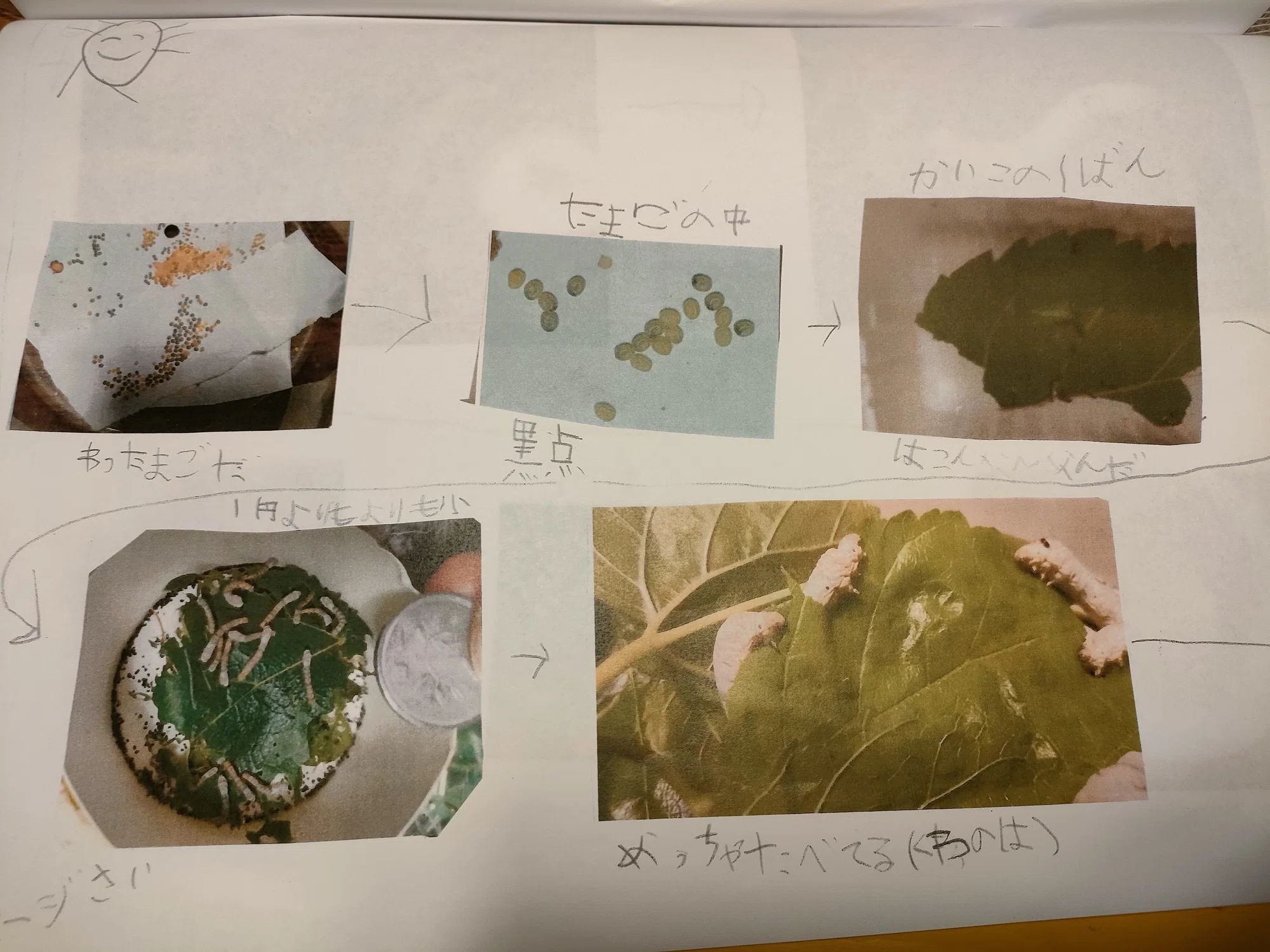 公の場での発言・インタビュー報道記録