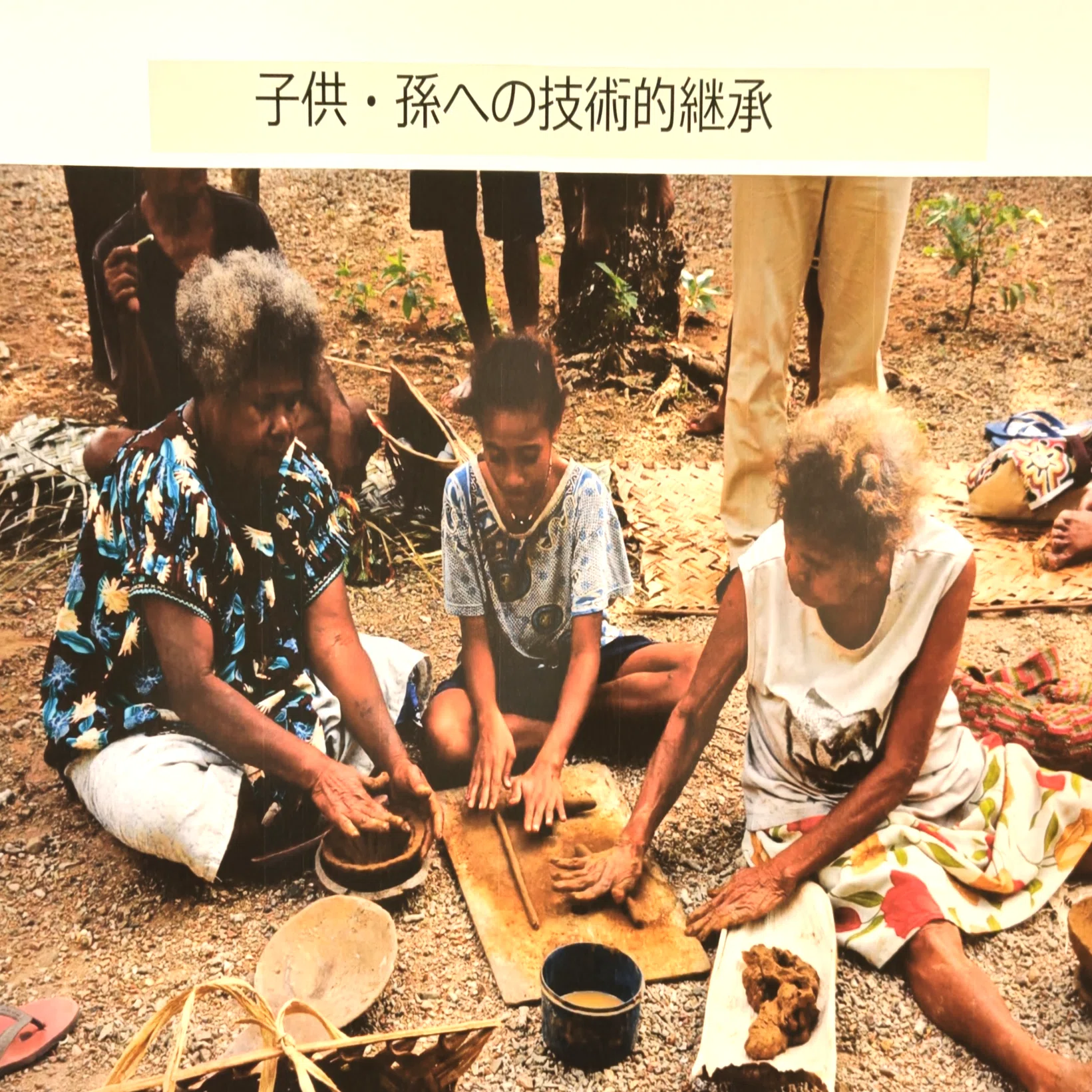 PAPUA×JOMON 縄文文化の謎を考える‐パプアニューギニアの民族誌