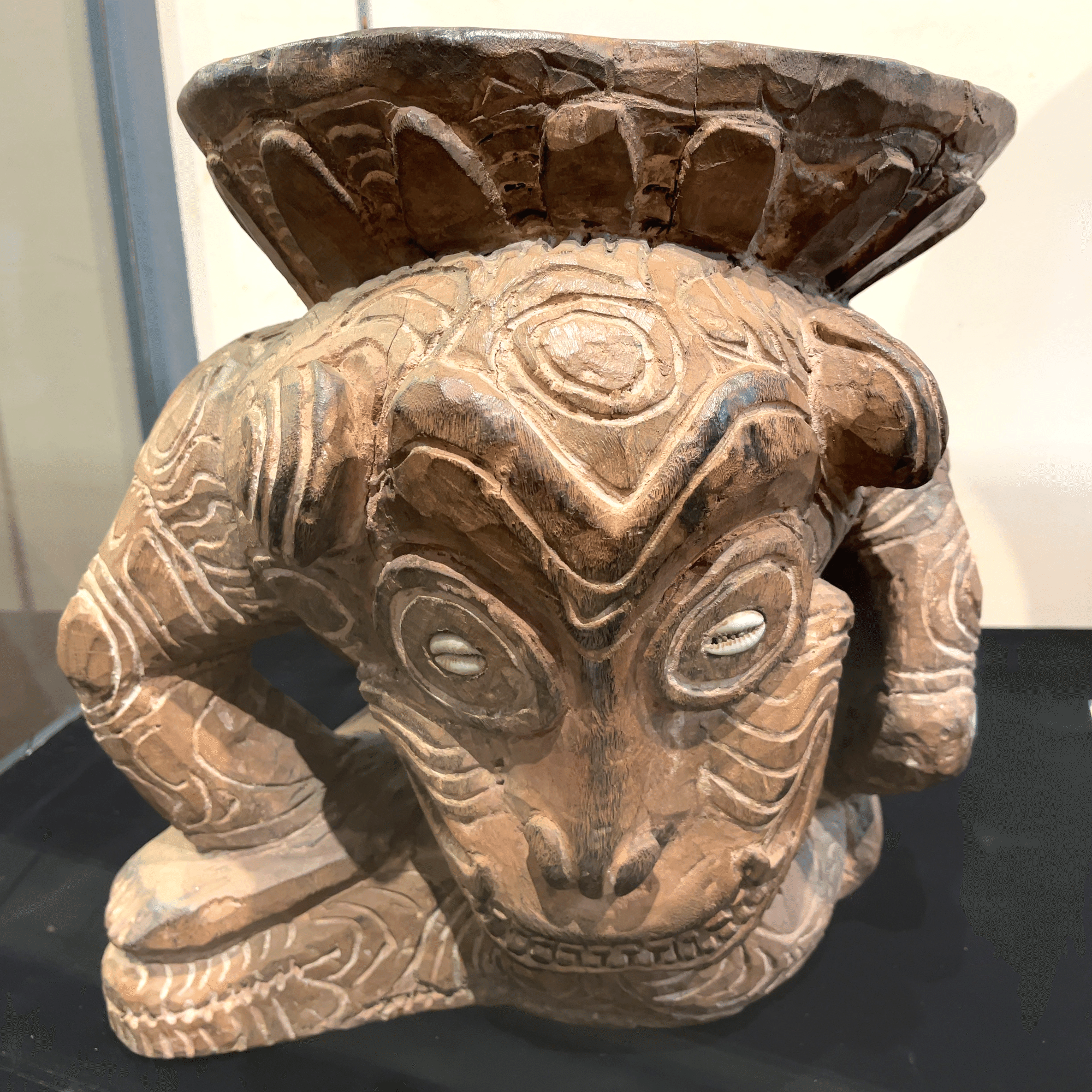 PAPUA×JOMON 縄文文化の謎を考える‐パプアニューギニアの民族誌