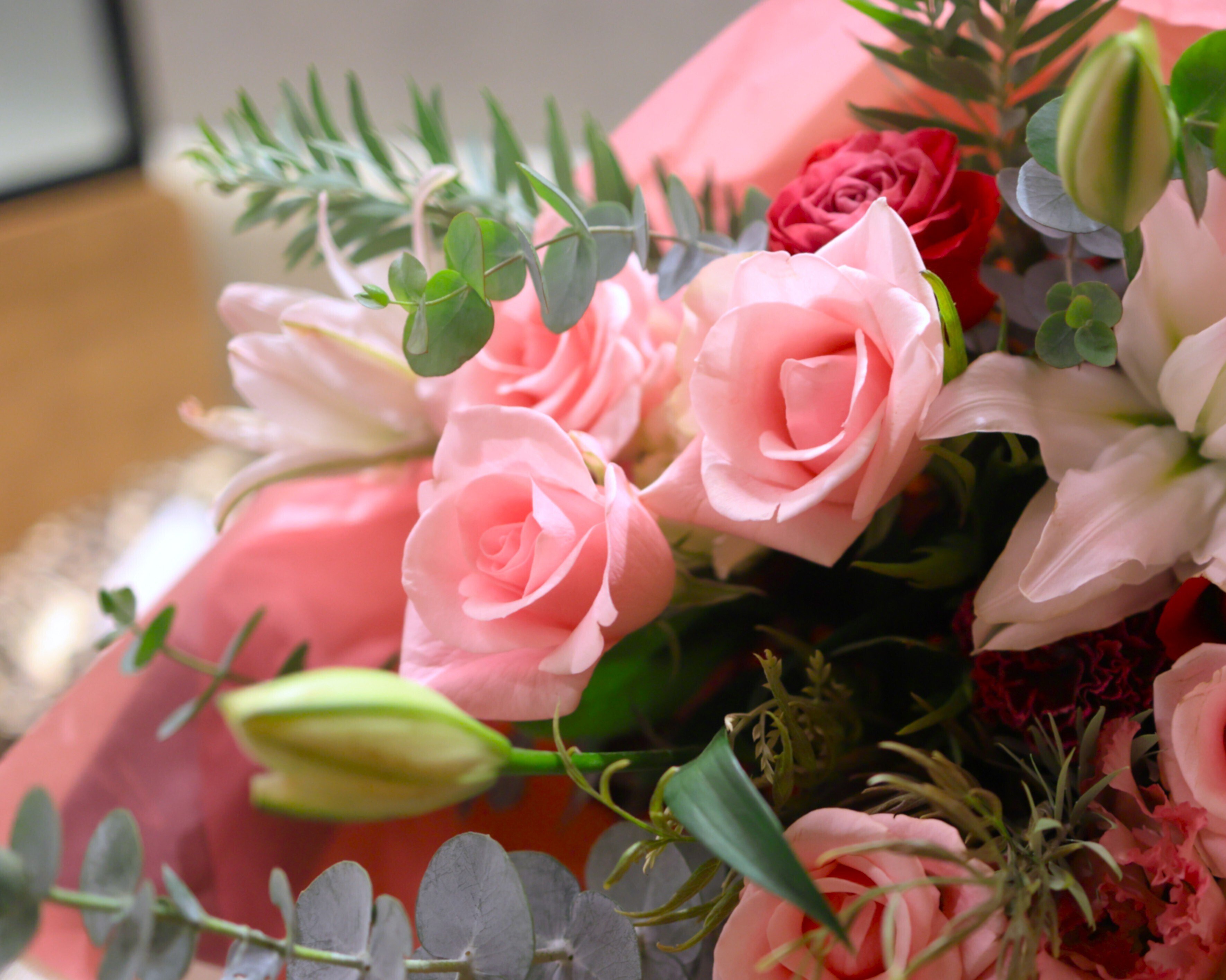 ver.2【ライブメモ】原田知世 『アネモネ』『カリン』リリースツアー