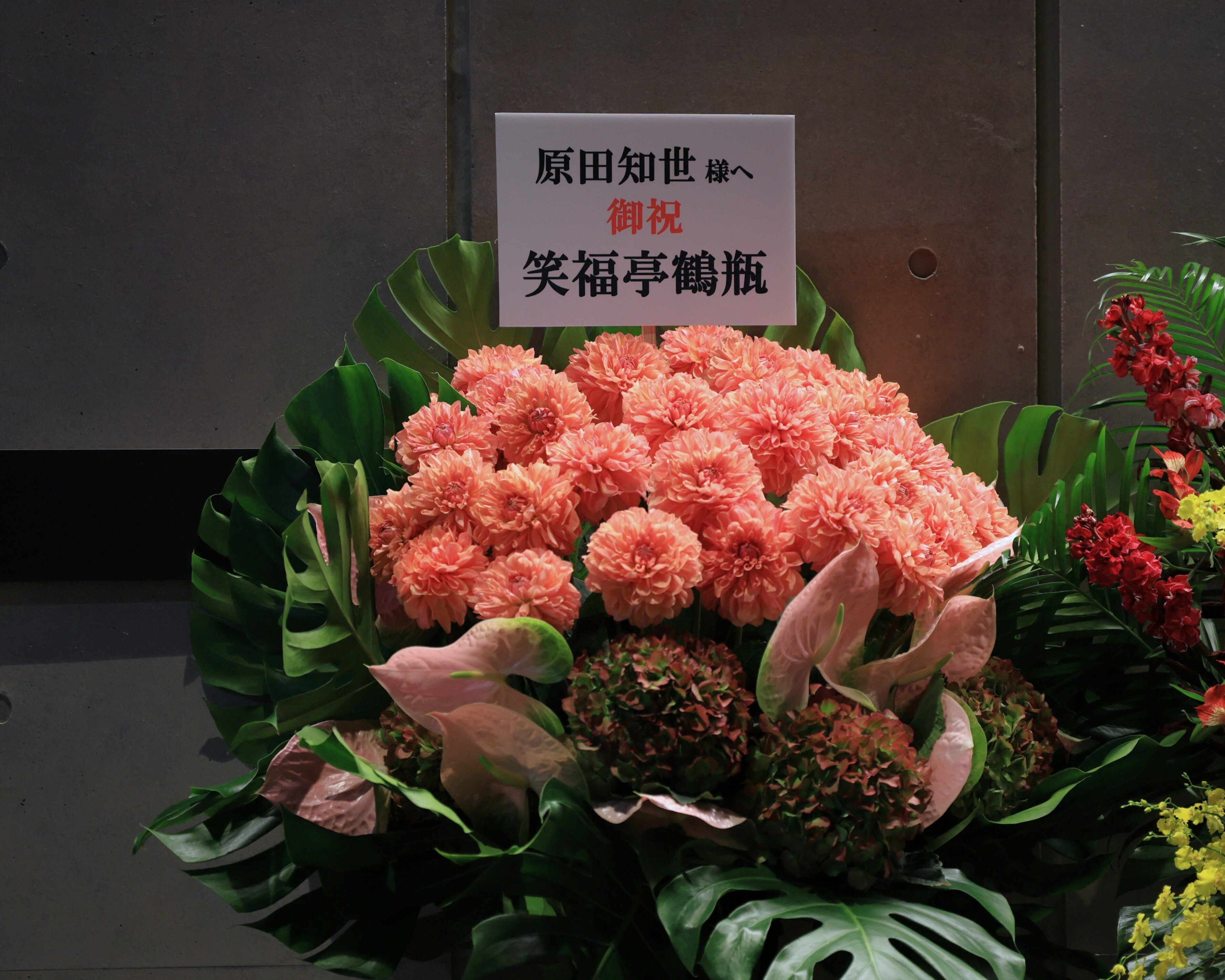 ver.2【ライブメモ】原田知世 『アネモネ』『カリン』リリースツアー