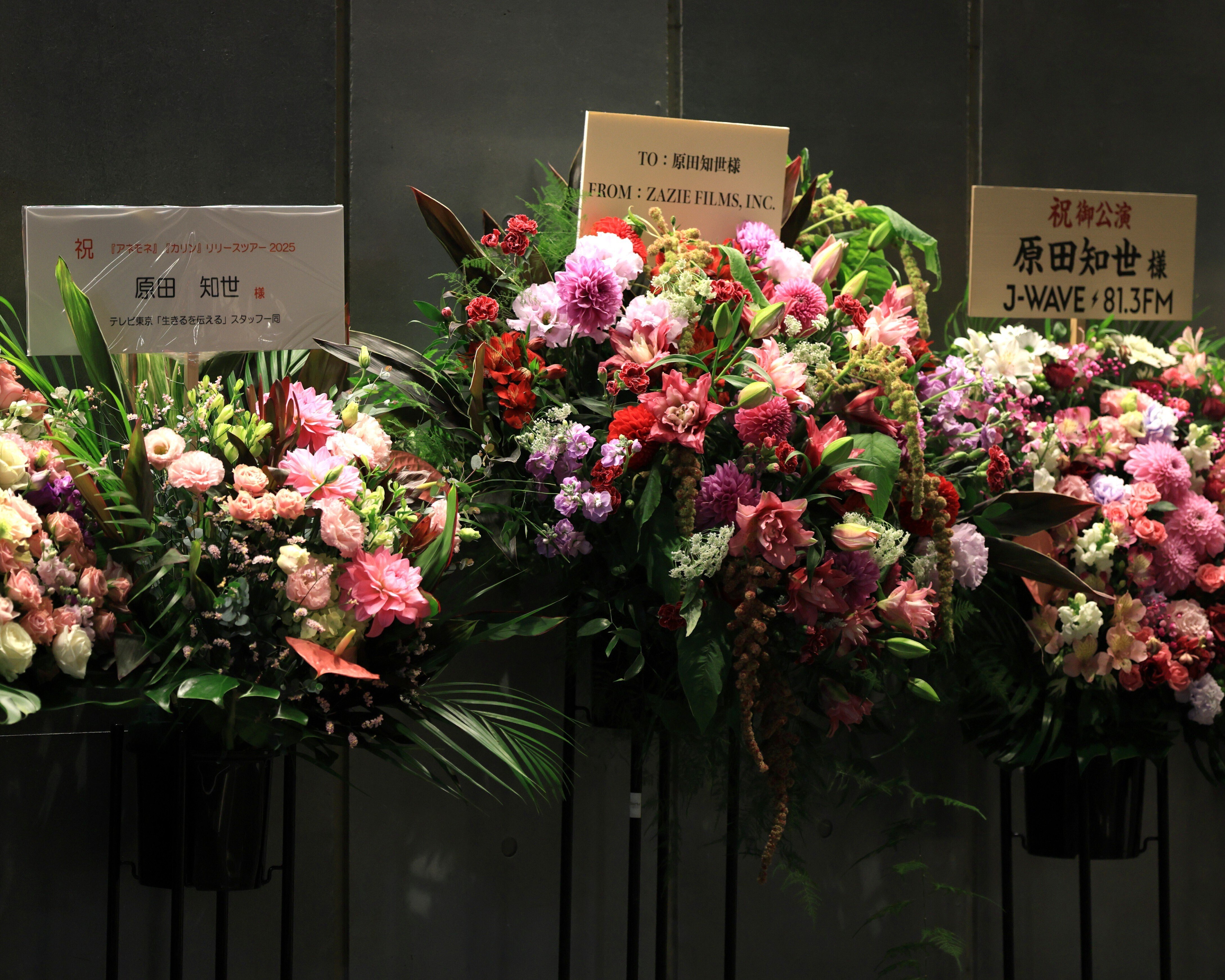 ver.2【ライブメモ】原田知世 『アネモネ』『カリン』リリースツアー