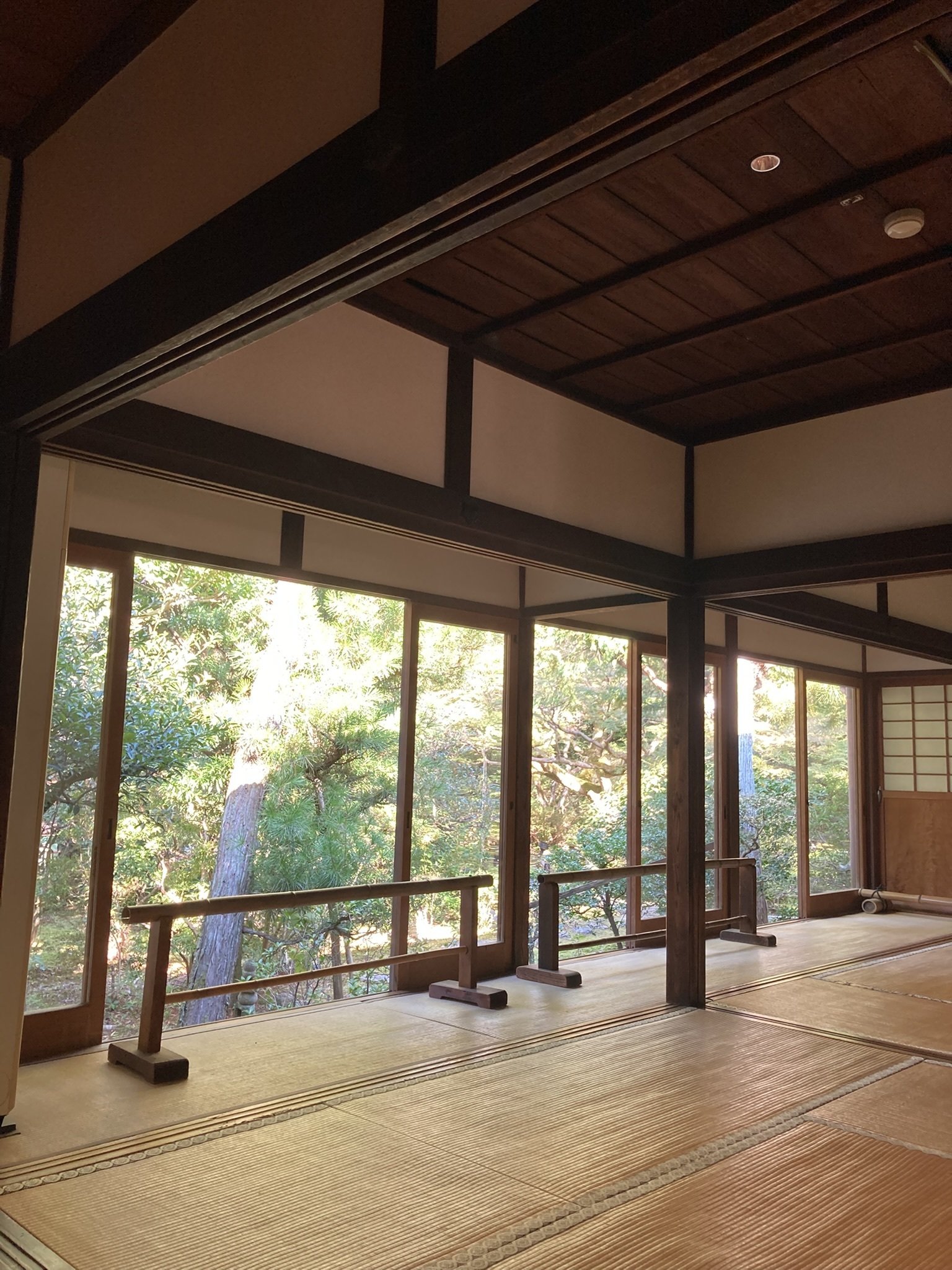 青蓮院門跡（20251030）｜やまいつ