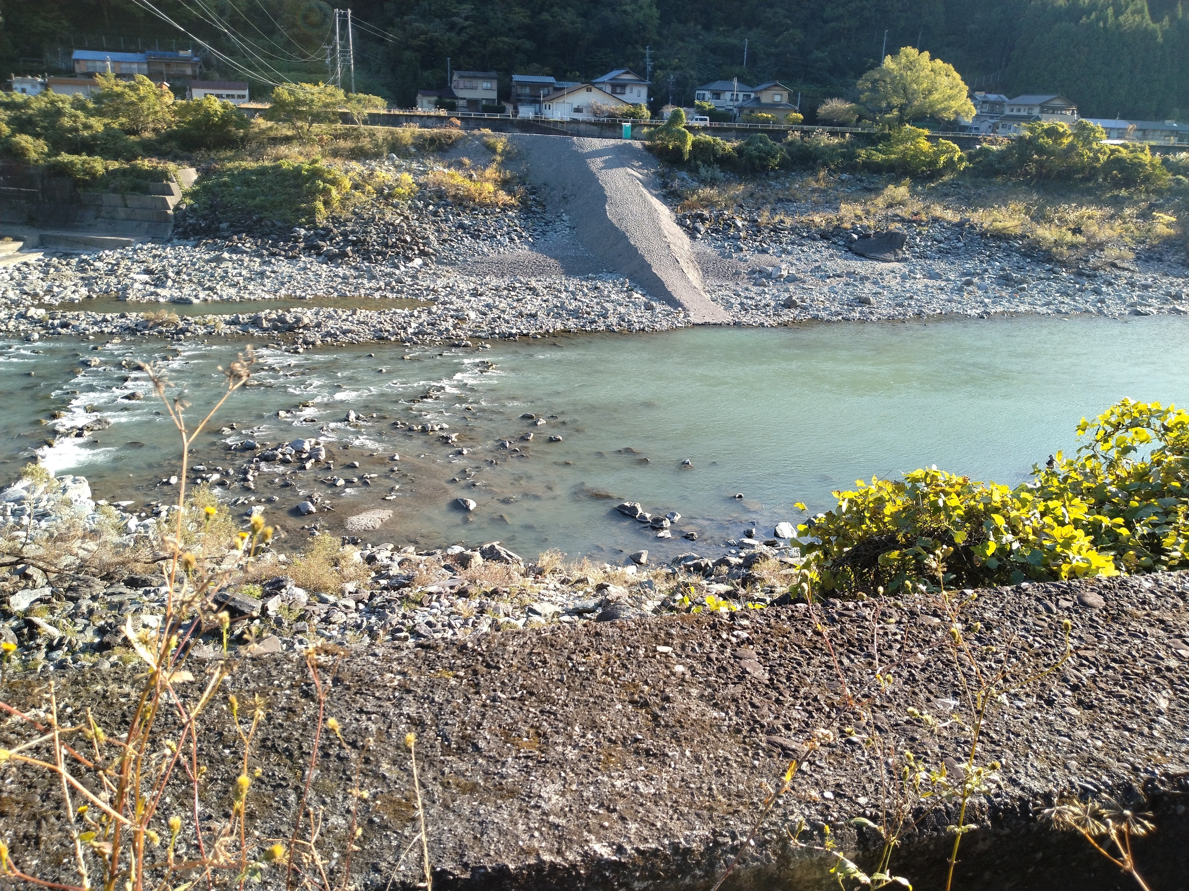 天竜川20251114｜サカガミ