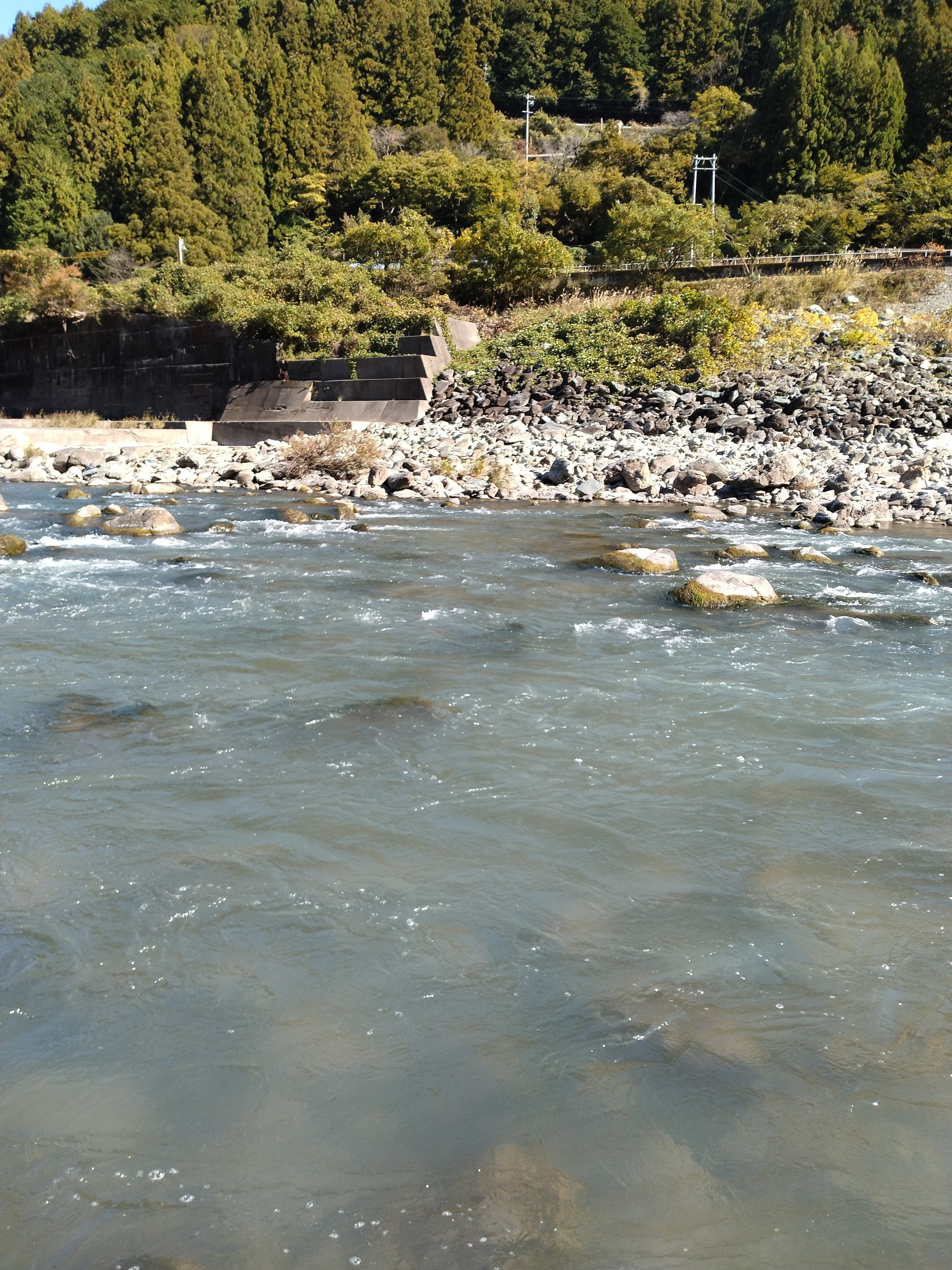 天竜川20251114｜サカガミ