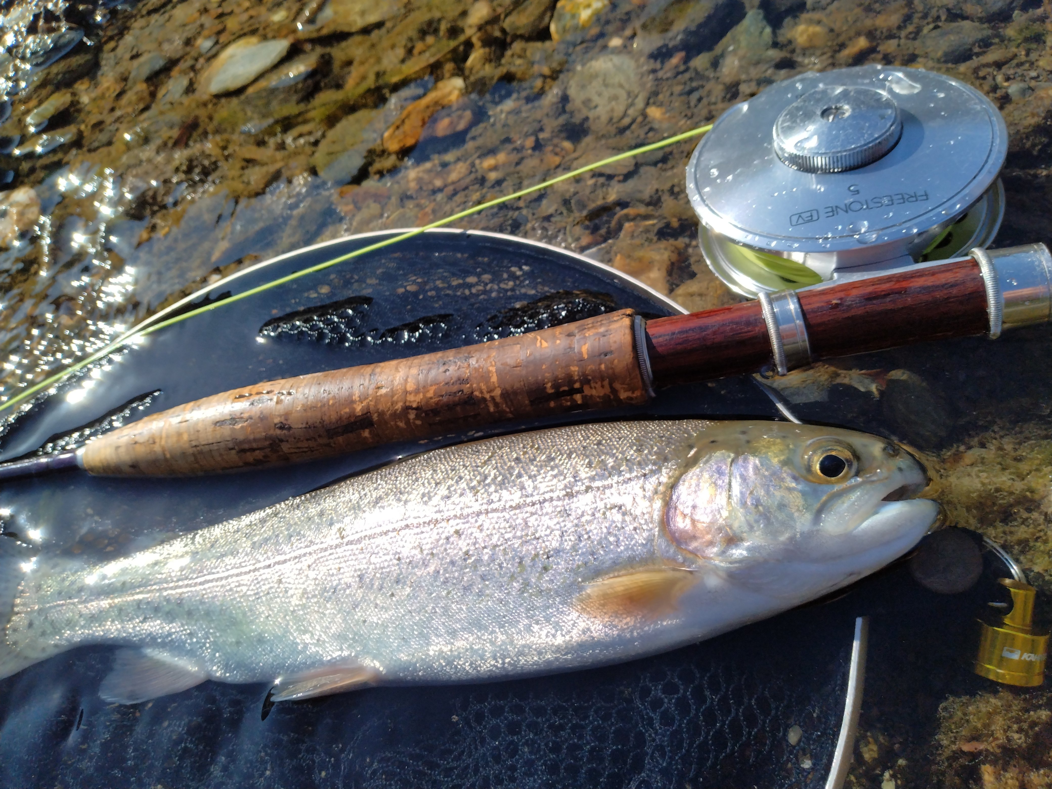 天竜川20251114｜サカガミ