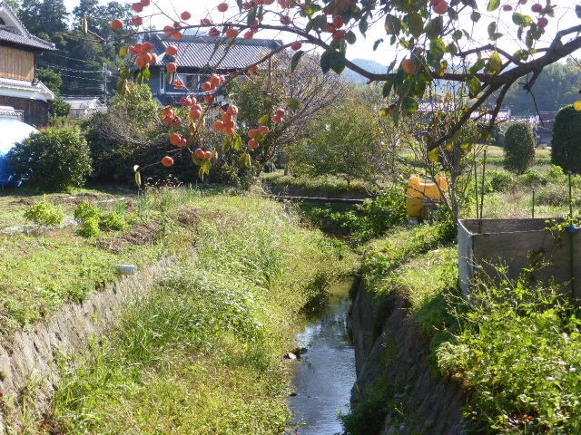 飛鳥池工房遺跡から出土した主要な出土品643点が重要文化財に指定され