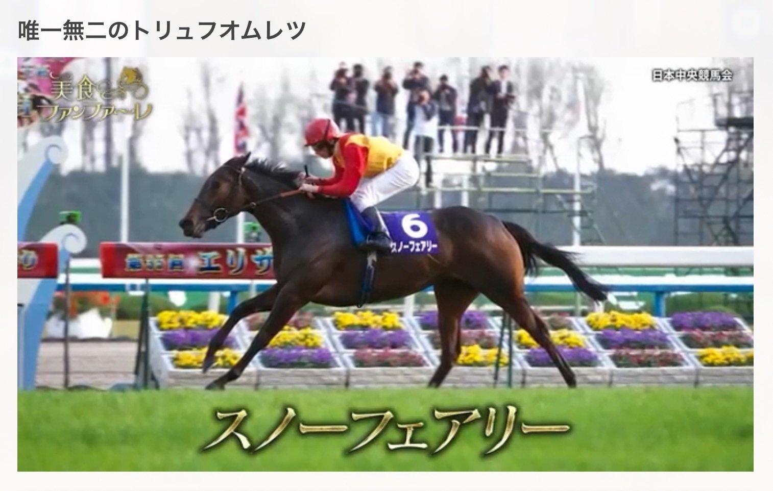 JRA］G1エリザベス女王杯2025サイン考察③使用済みサイン