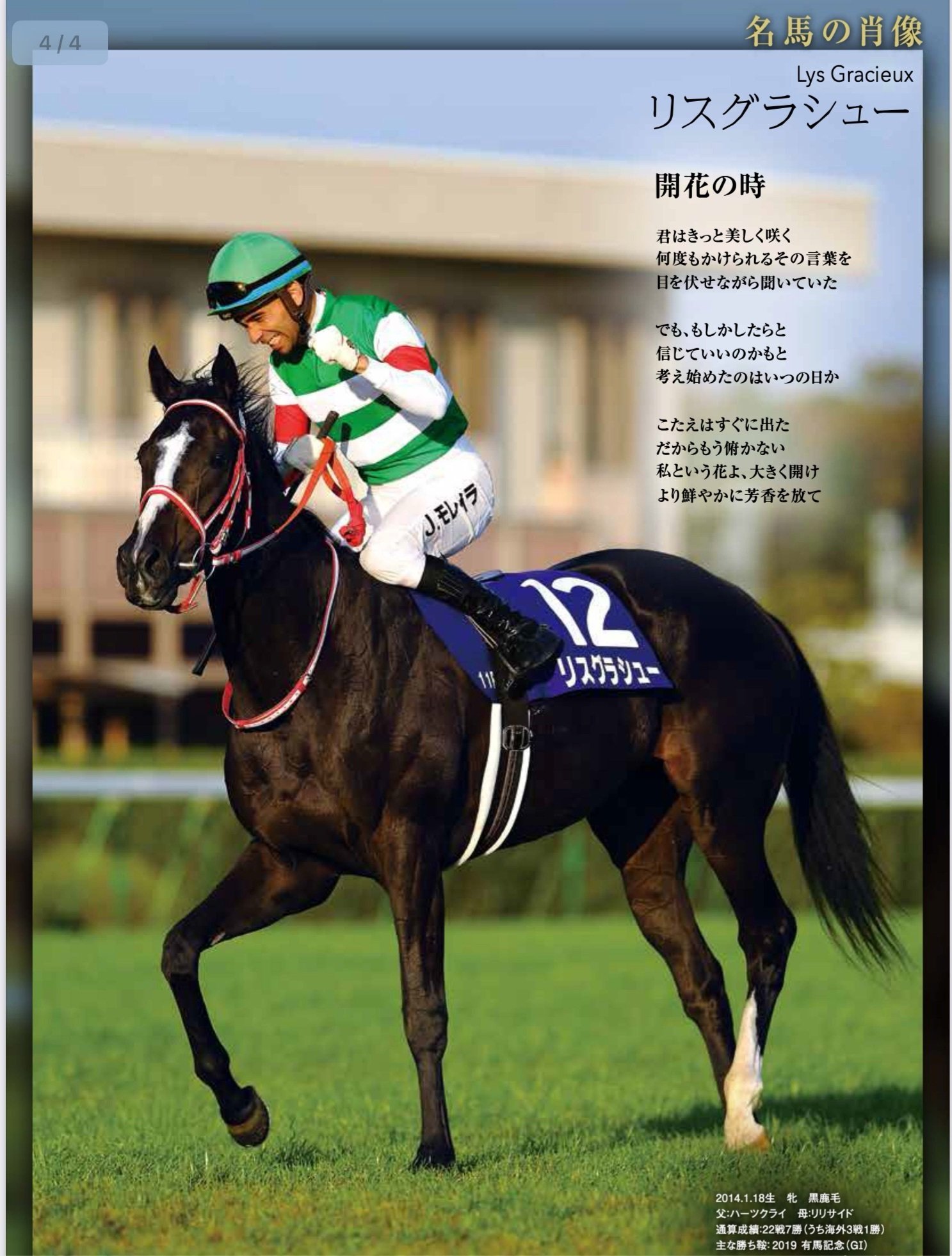 JRA］G1エリザベス女王杯2025サイン考察③使用済みサイン