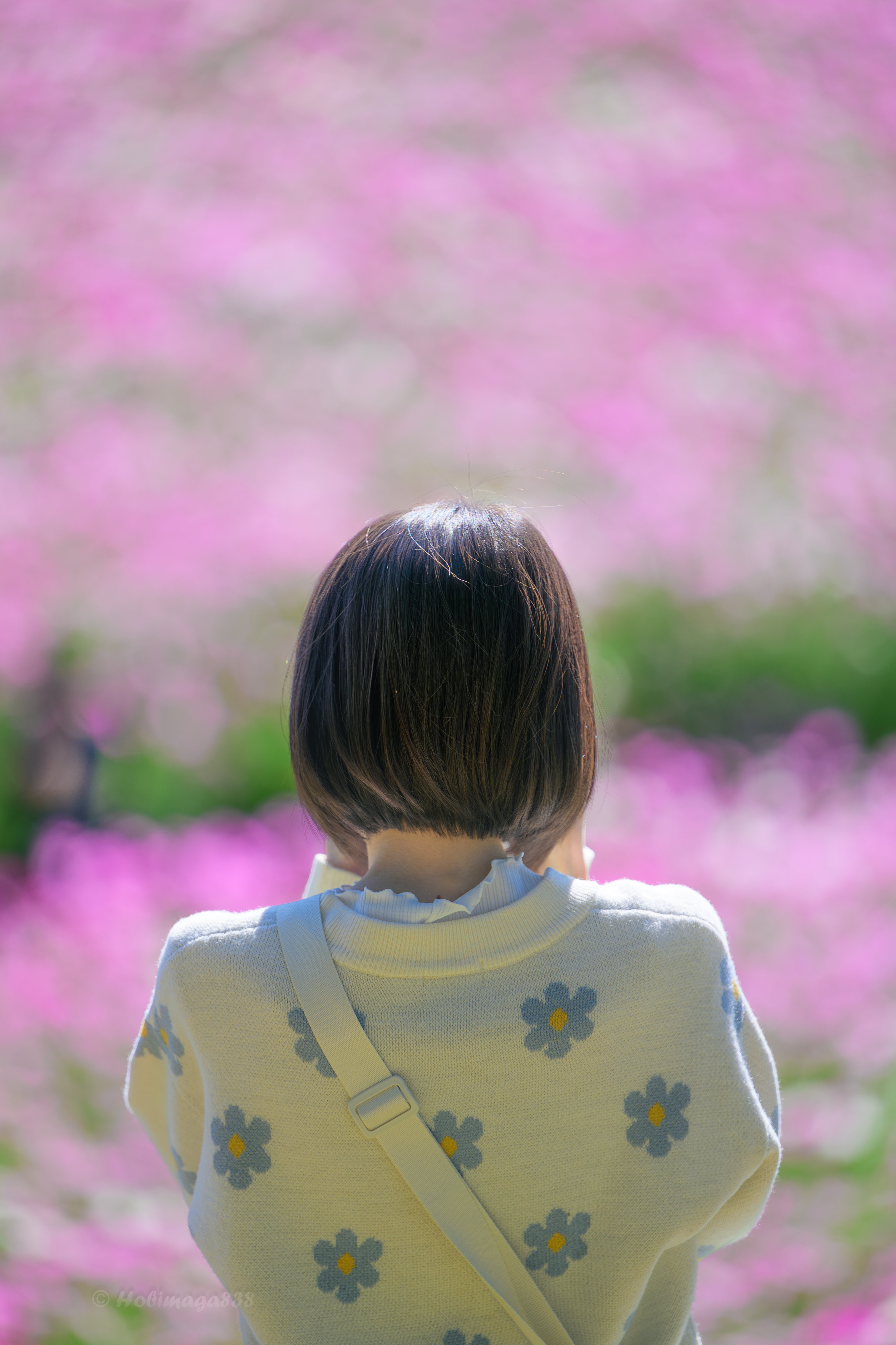 写真を見返して分かった、レタッチとの距離感｜ほびマガ