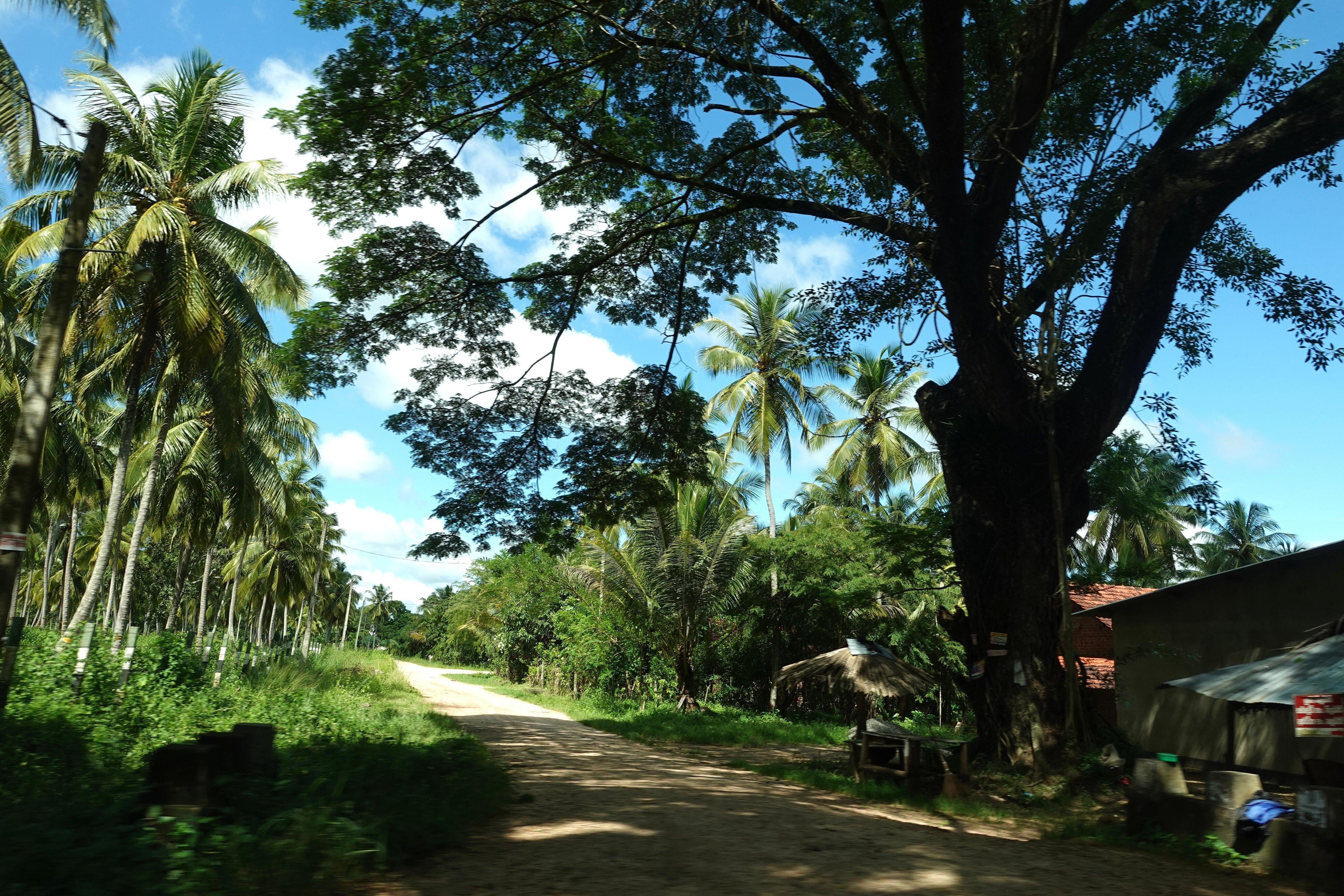 サッセールワ大仏～スリランカの山中にひっそりと佇む傑作仏像を訪ねて