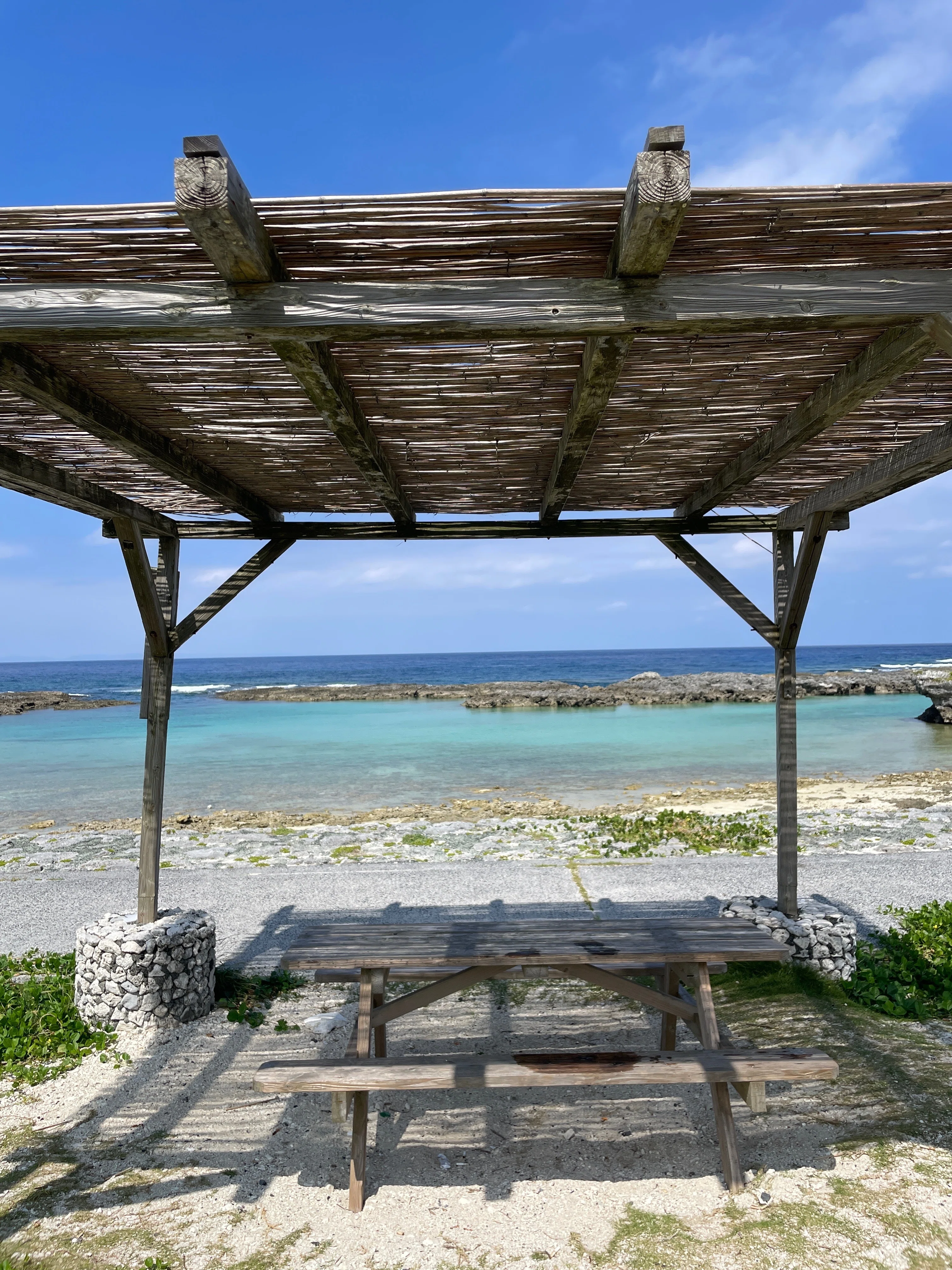 チャゲまで10日〜結いきっぷで行く奄美群島フェリー縦断ひとり旅②奄美