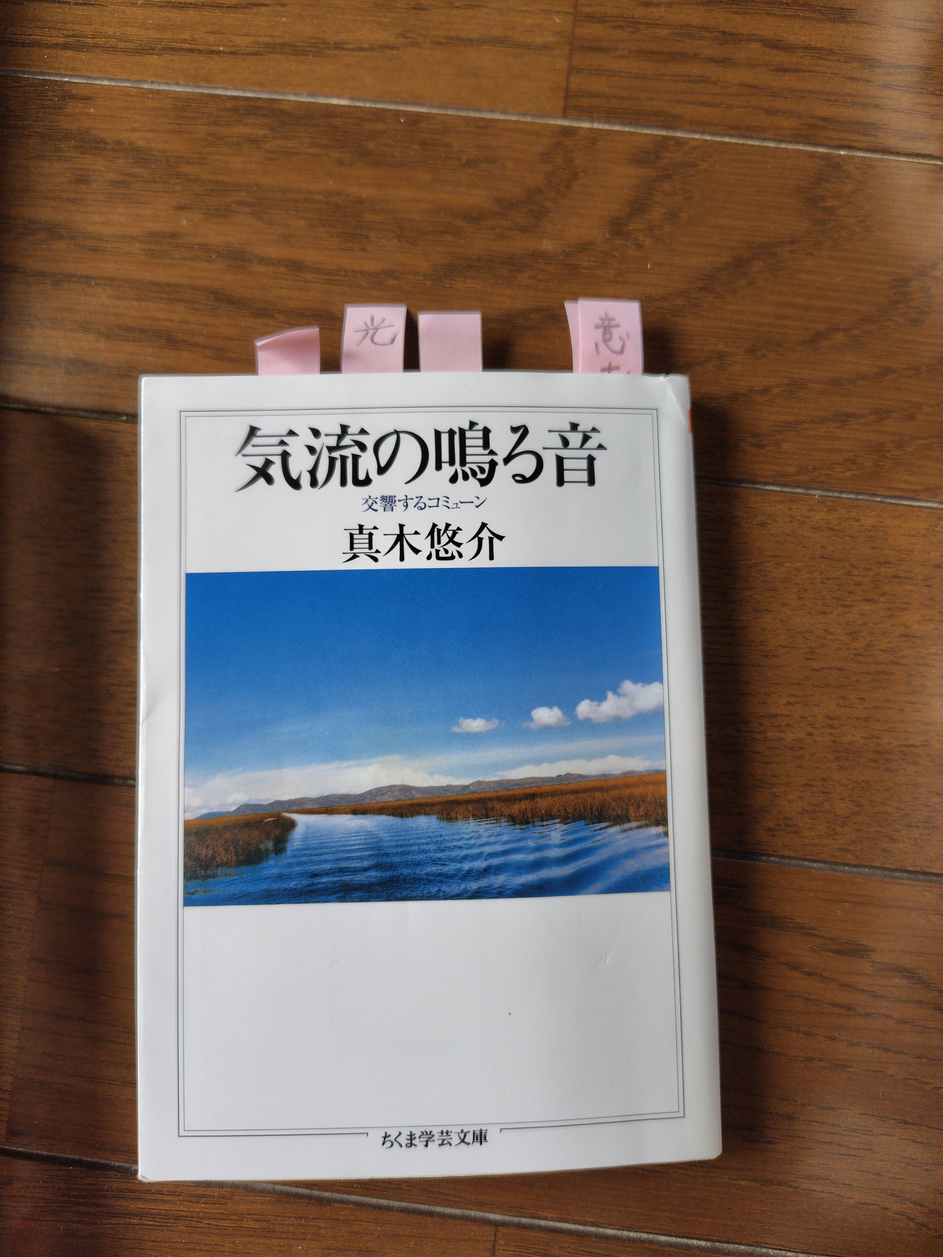 「カルロス・カスタネダ11冊＋1冊セット」 カルロス・カスタネダ著「ドン・ファン シリーズ」を読んで｜圭