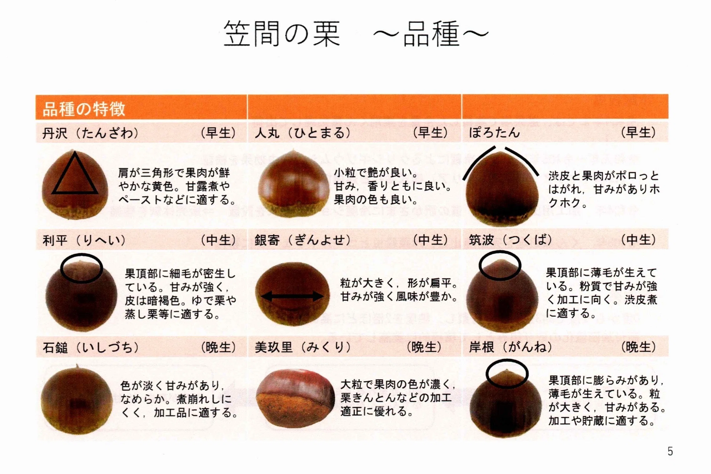 日本一の栗の産地はいかにできた？茨城県笠間市でのブランド化と産業の