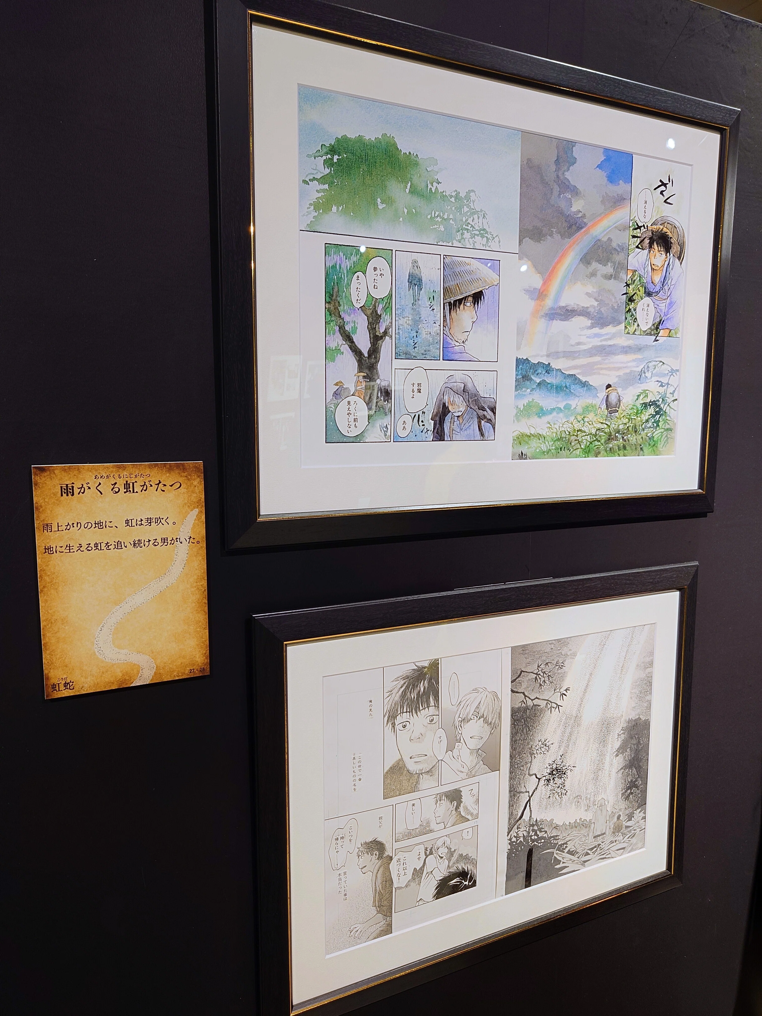 2025.11.16 蟲師展｜SHAR