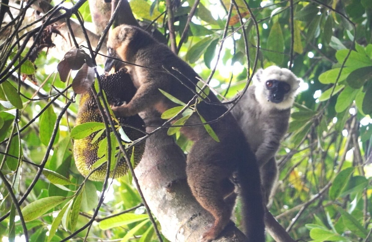 ピースボートV119 ２９ 自主企画 前半に出会った動物た｜80(Eighty), image size:1200x781