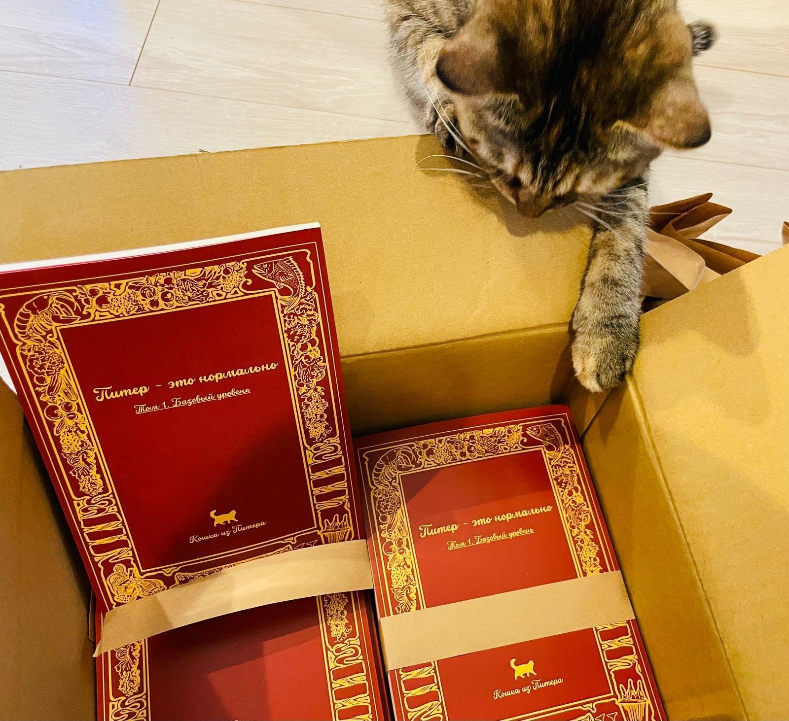 本日の猫たち #559（文フリ東京41の準備）｜MIU