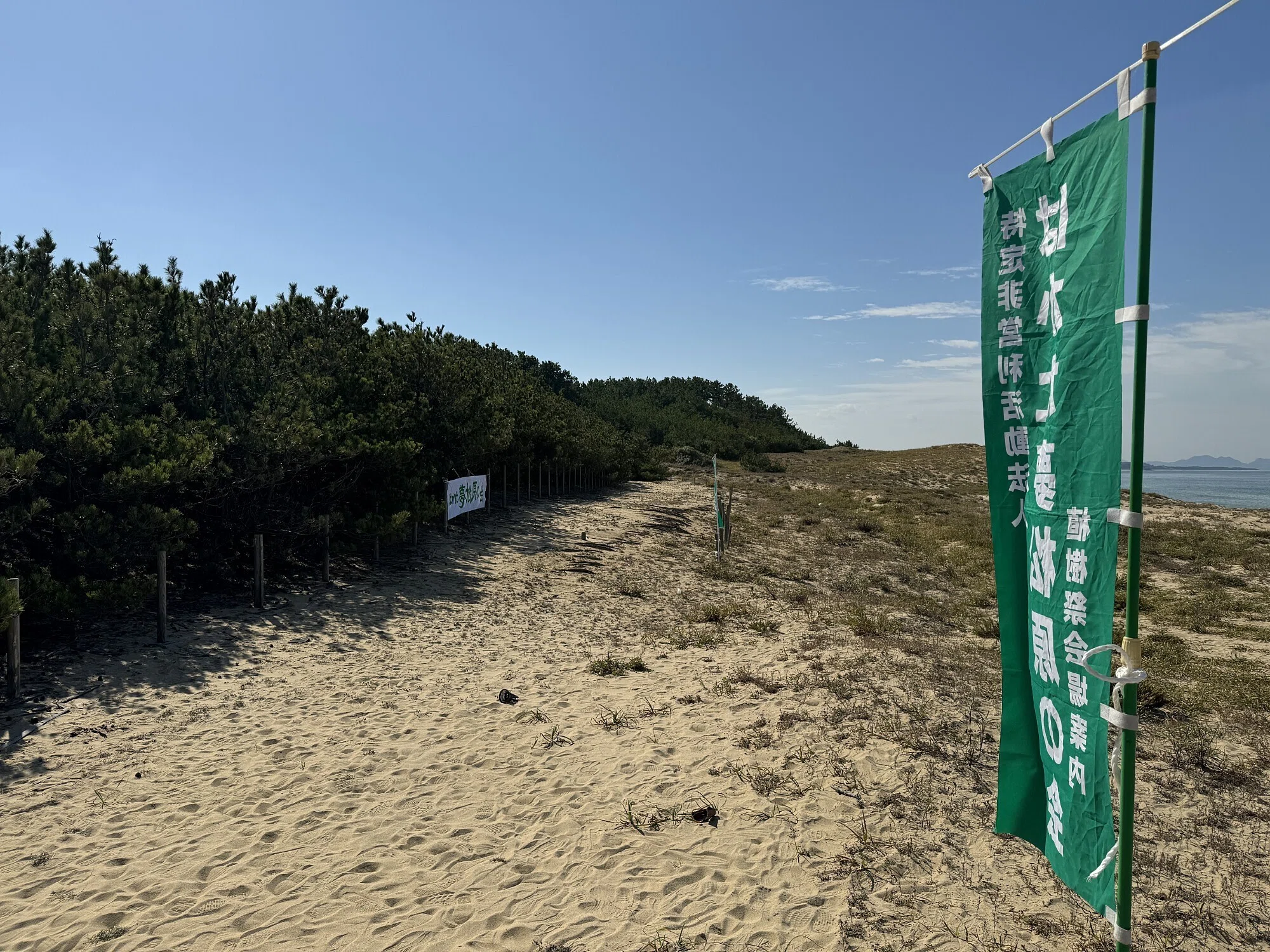 白砂青松を未来へ。海の中道・松林保全ボランティアに参加して｜N Toshio