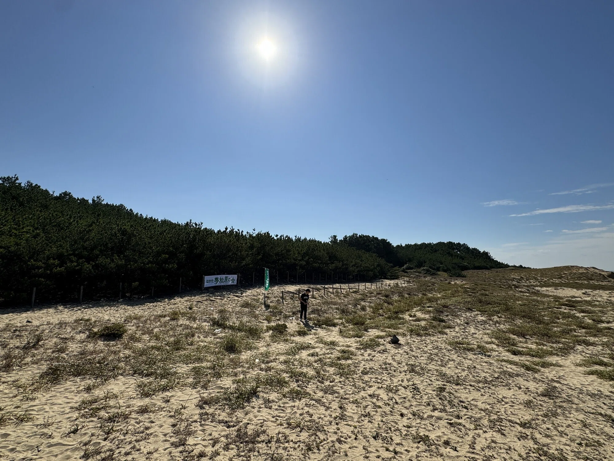 白砂青松を未来へ。海の中道・松林保全ボランティアに参加して｜N Toshio