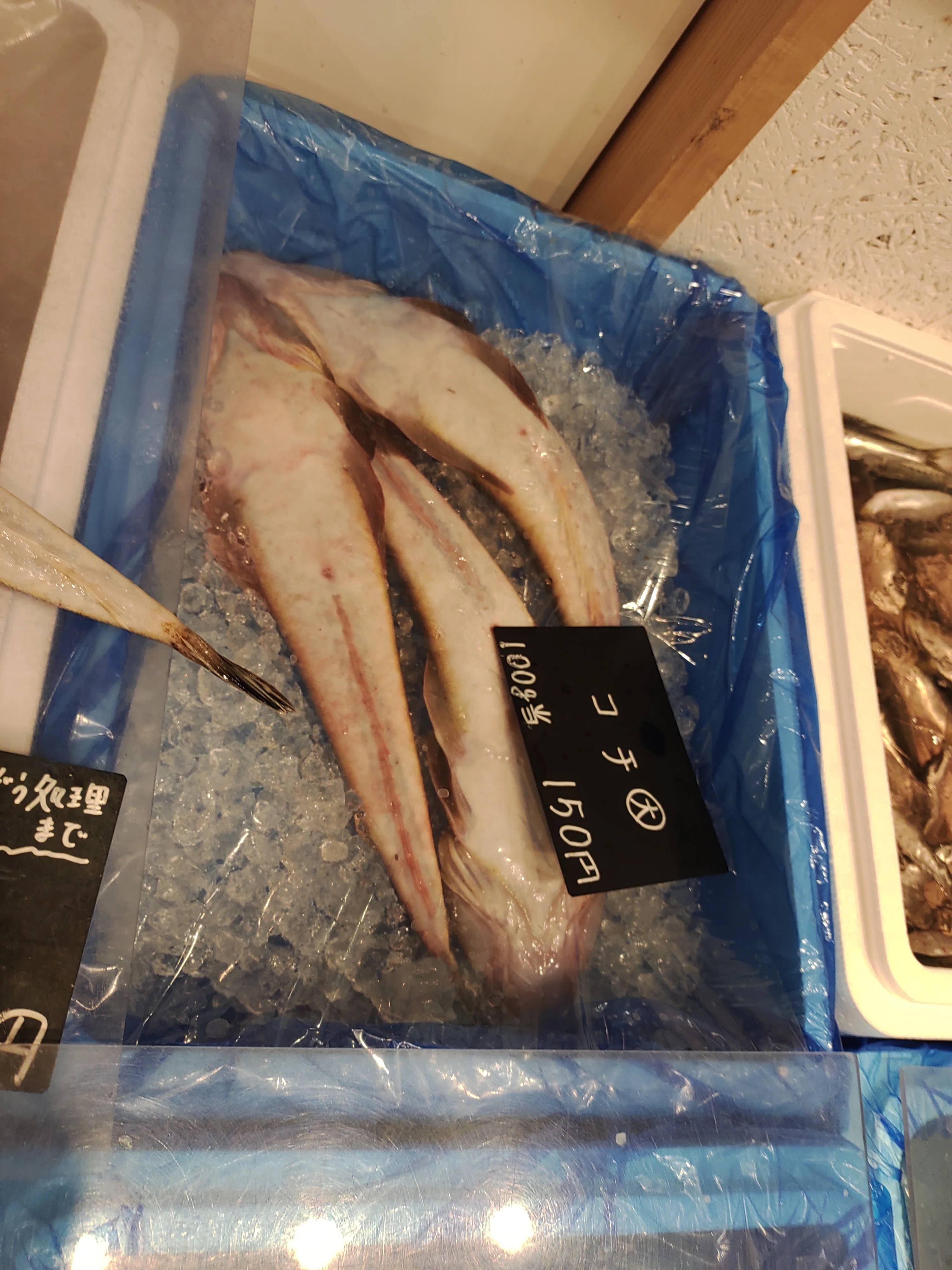 魚】 江戸前で採れた魚を食す 4種類達成（78/278種類）｜KOJI