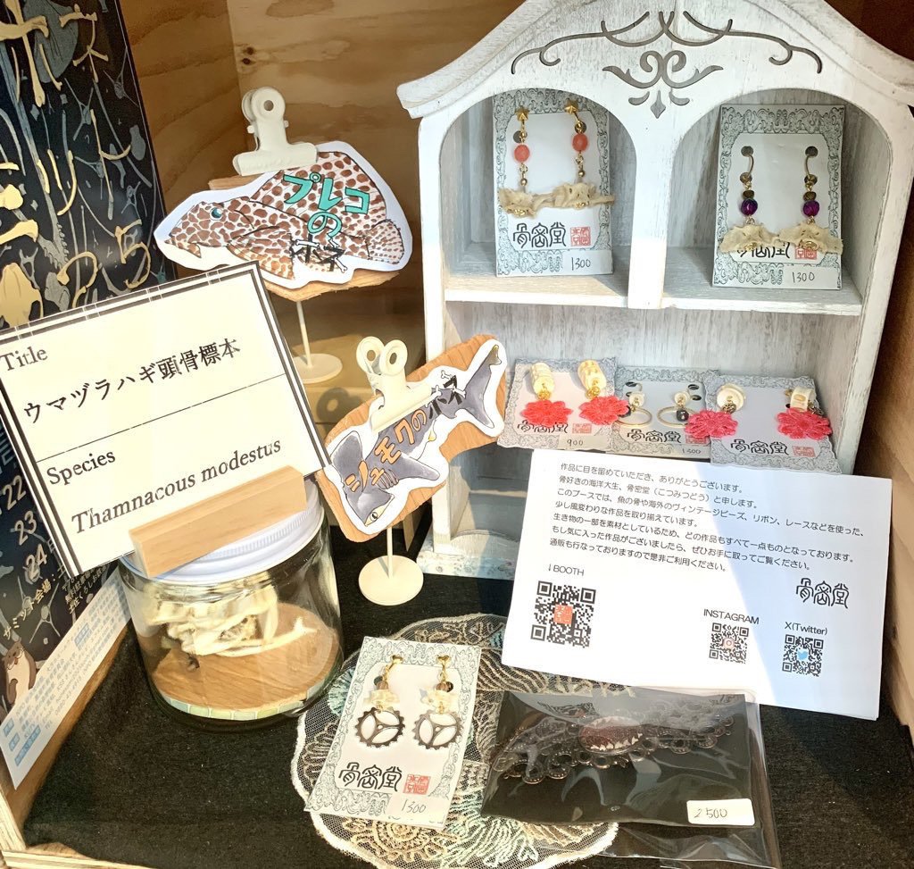 多様なサカナ・水生生物グッズが並ぶ『SAKANA APARTMENT』に入居する