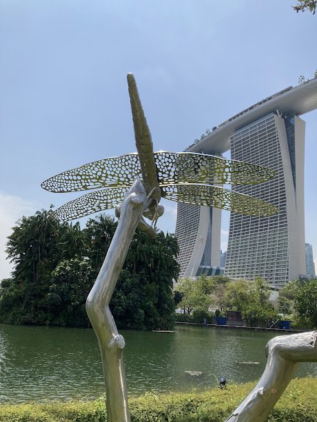 野外彫刻フィールドワーク in Singapore ⑦ ガーデンズ・バイ・ザ