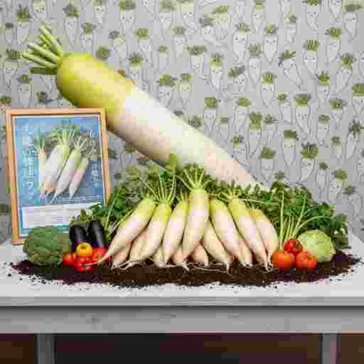 éè åççŽ æïŒãµã³ãã«ïŒ023