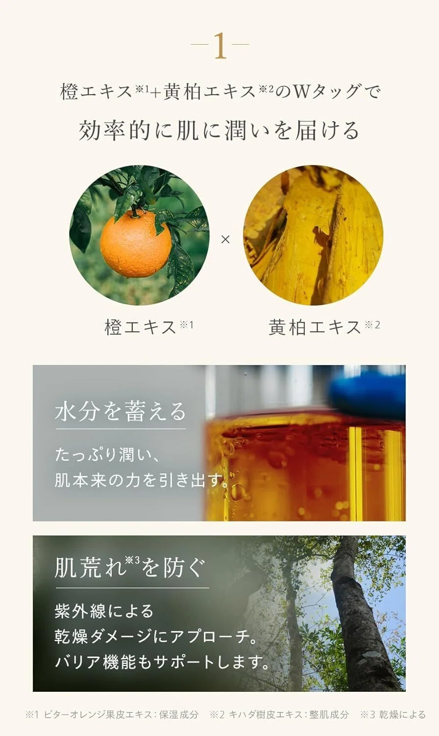 【美的べスコス受賞】 N organic Basic スキンケアセット（化粧水 N organic Basic スキンケアセット（化粧水 乳液） (約2ヶ月分) 保湿力