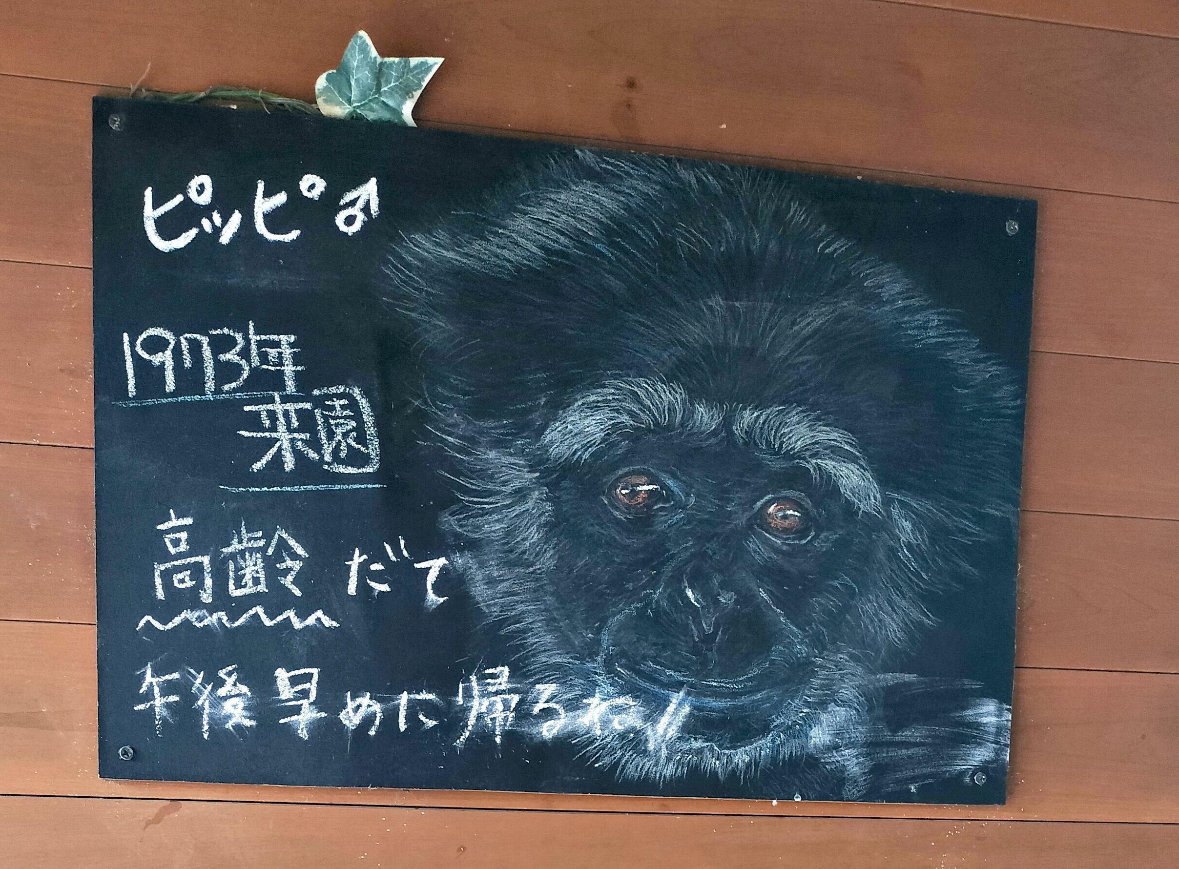 ふたたび のんほいパークへ｜のぶう