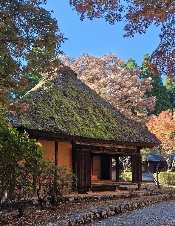 ☆平家落人の里・梅の木轟公園と五家荘平家の里へ🍁紅葉狩り｜たかしママ