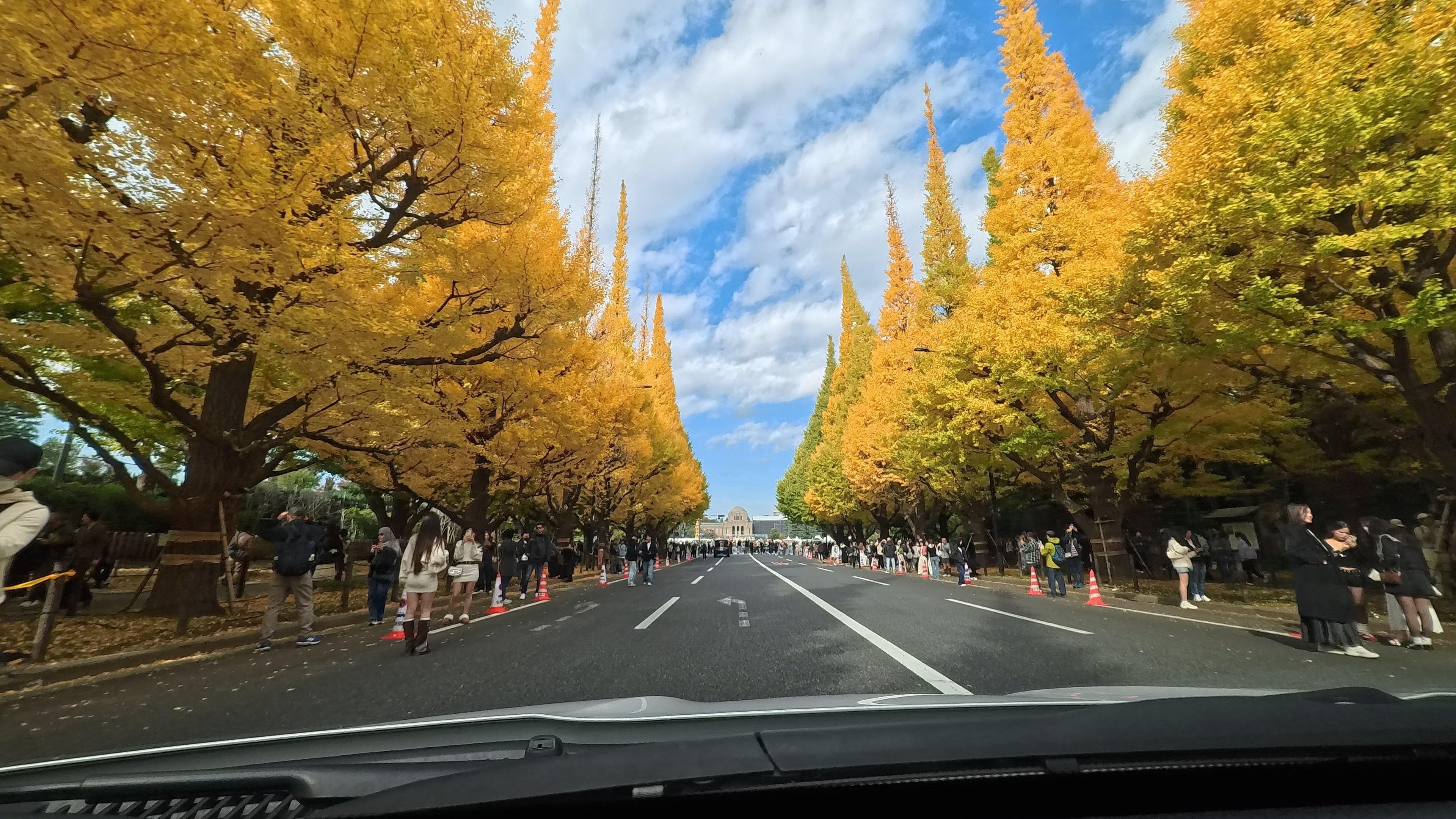 東京 観光・撮影スポット】神宮外苑のいちょう並木 アクションカメラで